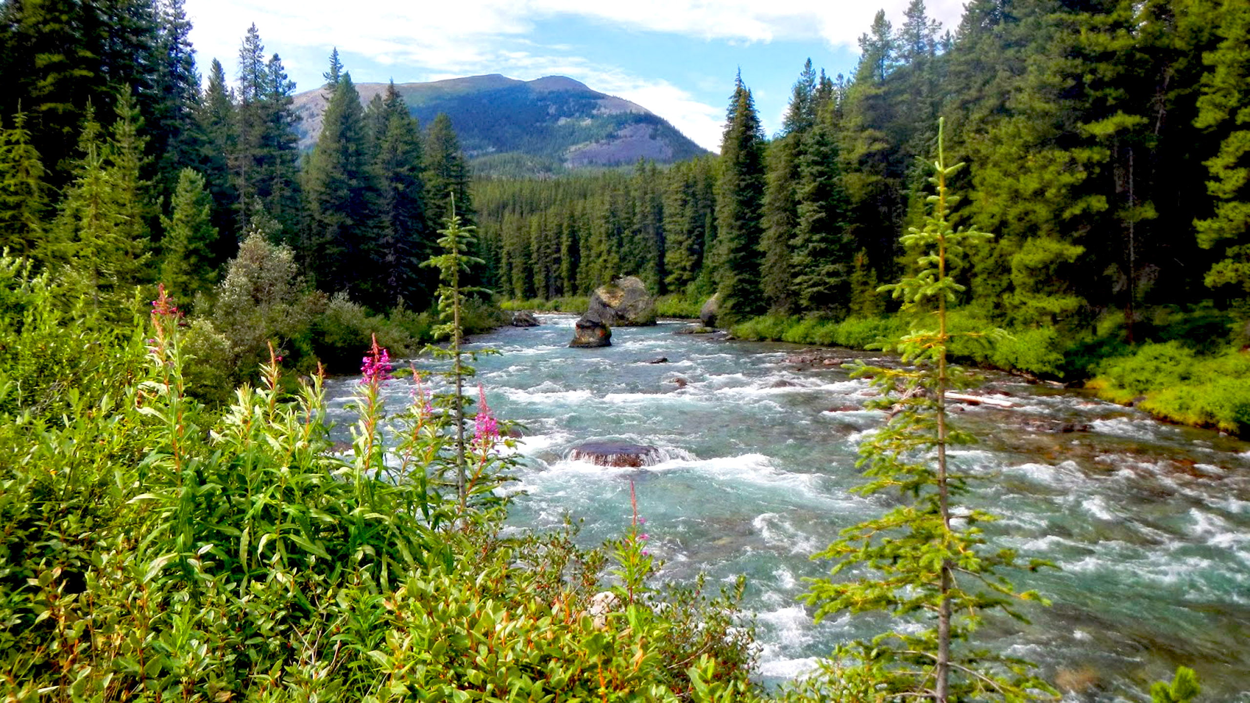 hd, river, 2K, south, maligne, side, lake, enters, HD Wallpaper
