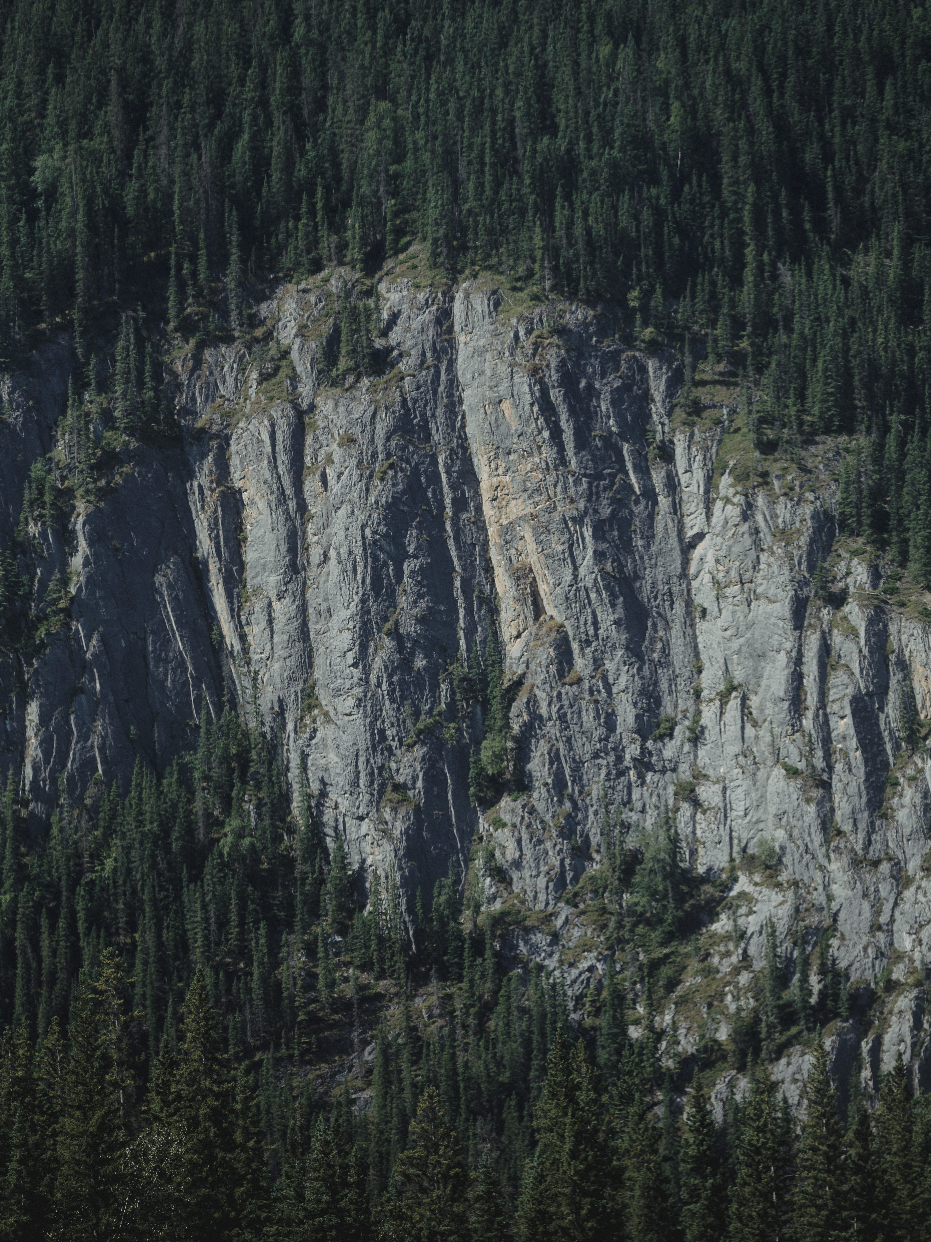 solid, banff, rock, non-urban scene, land, aerial, pacific, eye, daytime, rock - object, eroded, woodland, outdoors, nature, photography, geology, tree, Phone HD Wallpaper