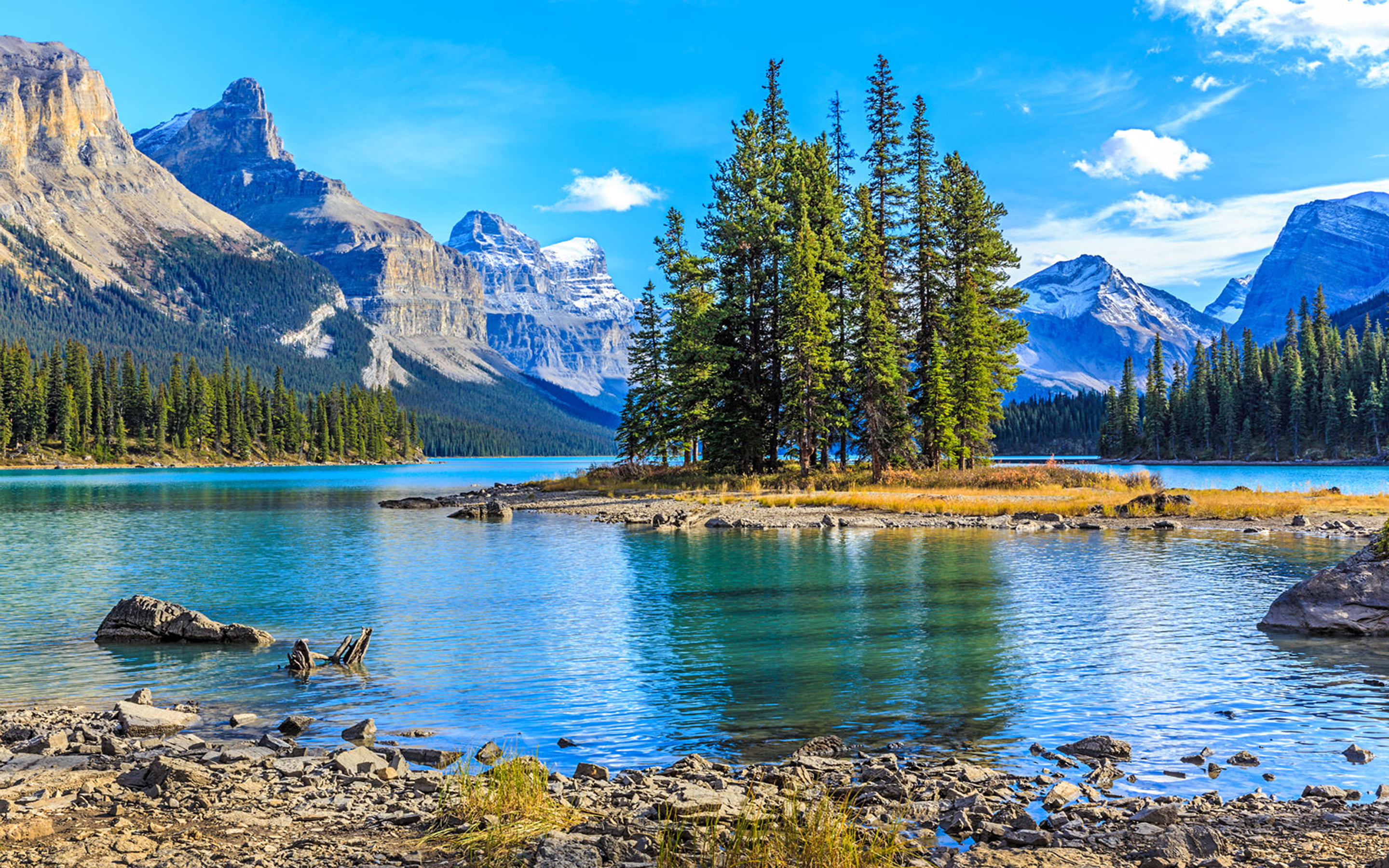 plant, reflection, rock, snowcapped mountain, water, jasper, park, hd, mountain, lake, 2K, cloud - sky, day, idyllic, no people, sky, tree, HD Wallpaper