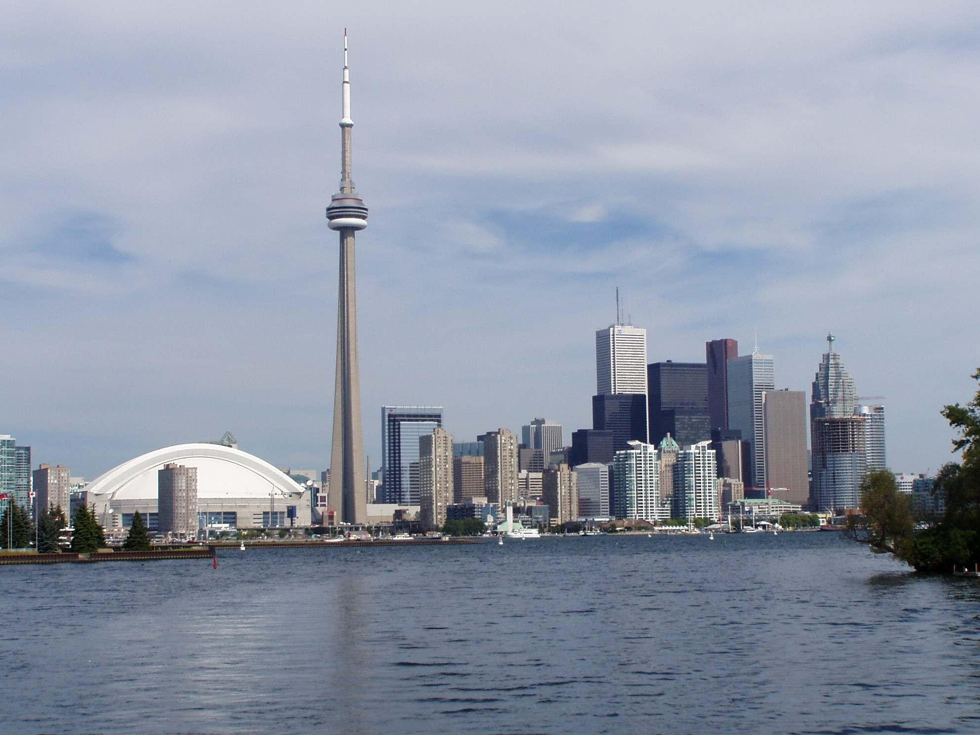 1080P, buildings, bank, water, toronto, city, animals, skyline, canada, HD Wallpaper