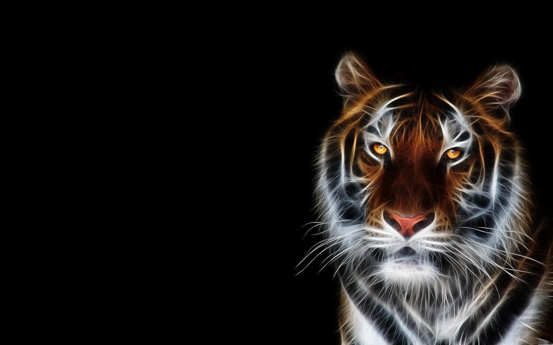 1080P, big cat, sketch, digital, animals, tiger, animal, HD Wallpaper