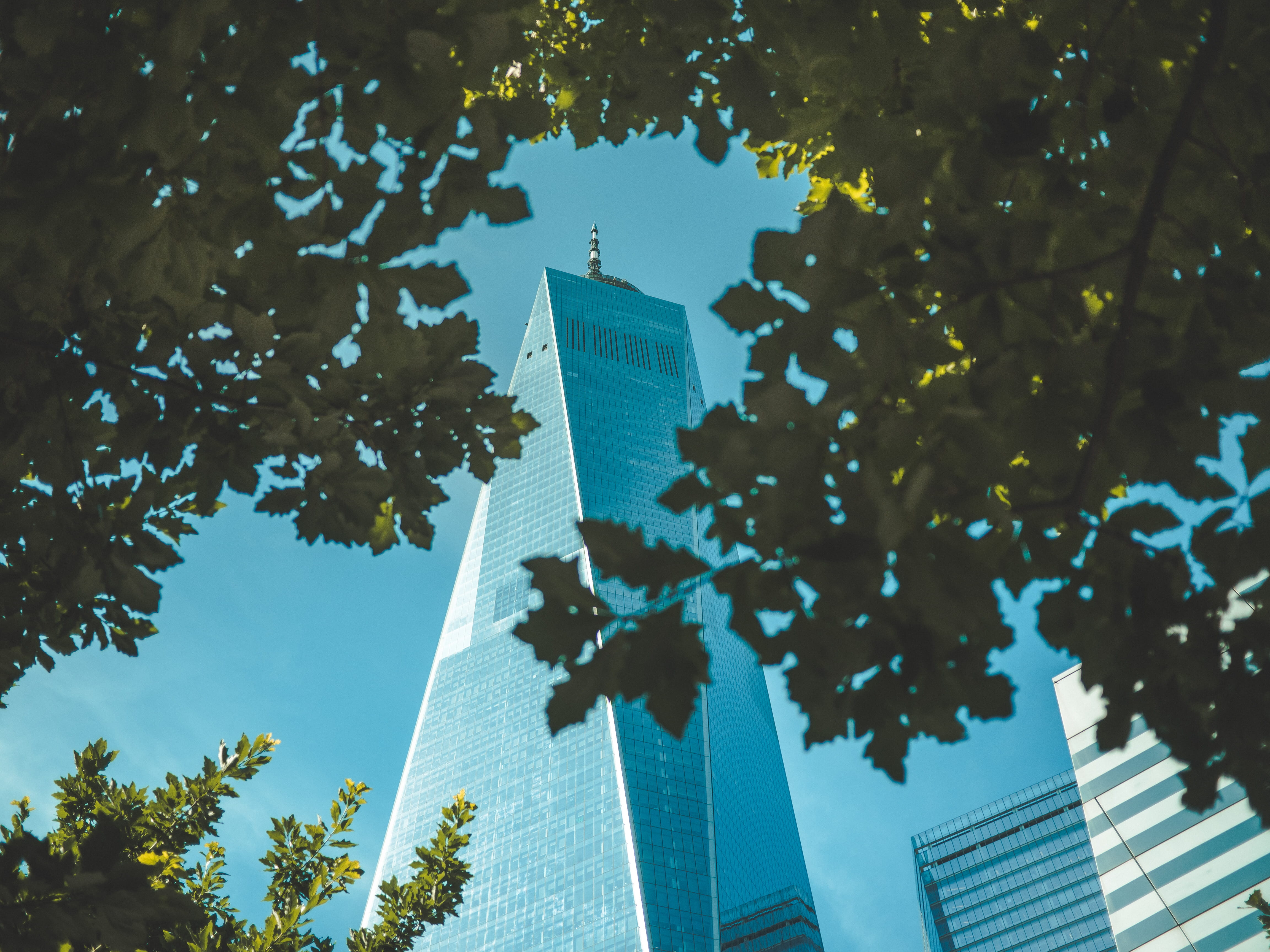 modern, freedom, new york, financial district, building, growth, sky, wtc, nyc, worldtradecenter, 4K, housing, manhattan, tall - high, tall, tower, york, HD Wallpaper