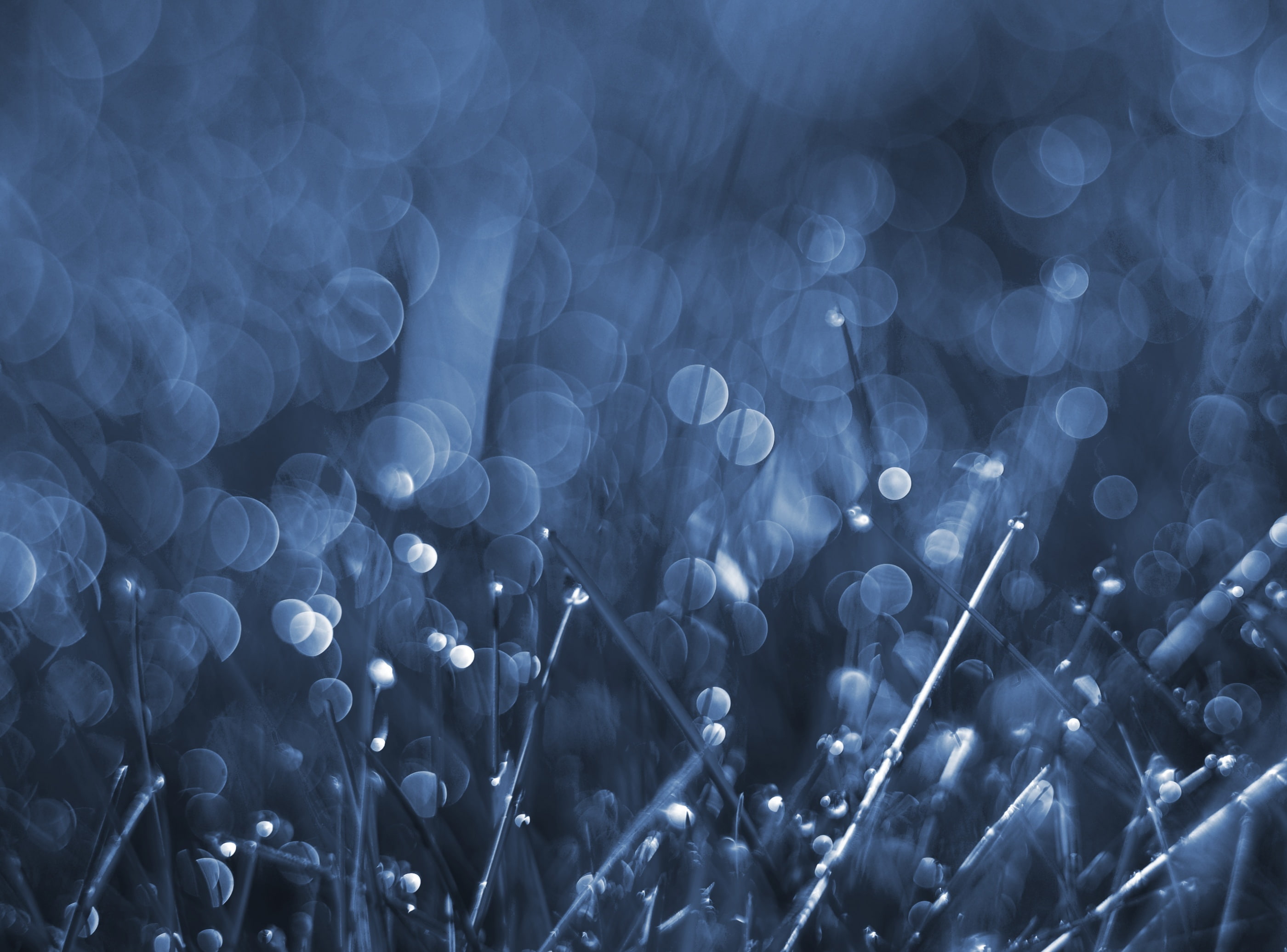 photography, vulnerability, pattern, Aero, selective focus, Drop, abundance, Bokeh, dew, Square, day, wet, plant, no people, large group of objects, droplet, HD Wallpaper