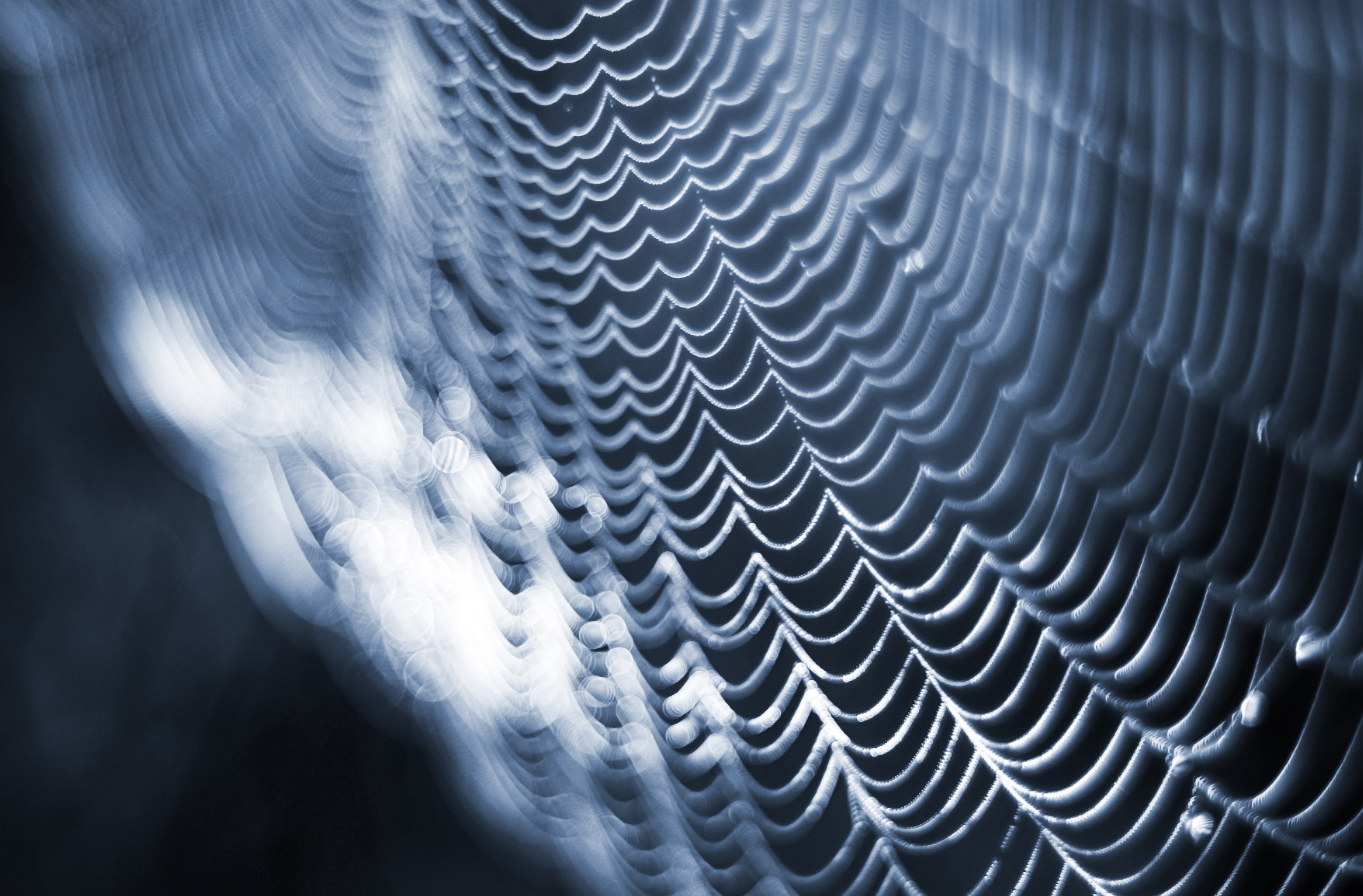 steel, selective focus, abstract, Aero, web, Macro, Bokeh, 2K, shape, technology, no people, pattern, close-up, cyanotype, design, nature, metal, Spider, HD Wallpaper