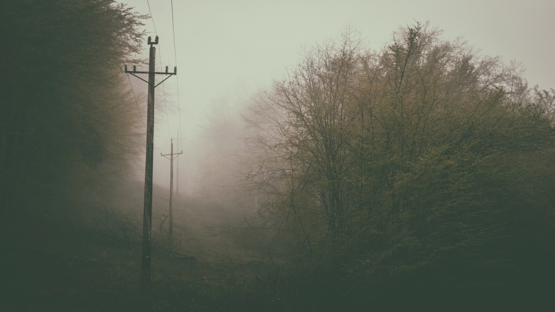 no people, plant, day, hazy, fog, land, rail transportation, forest, tree, tranquil scene, power supply, 1080P, transportation, electricity, outdoors, HD Wallpaper