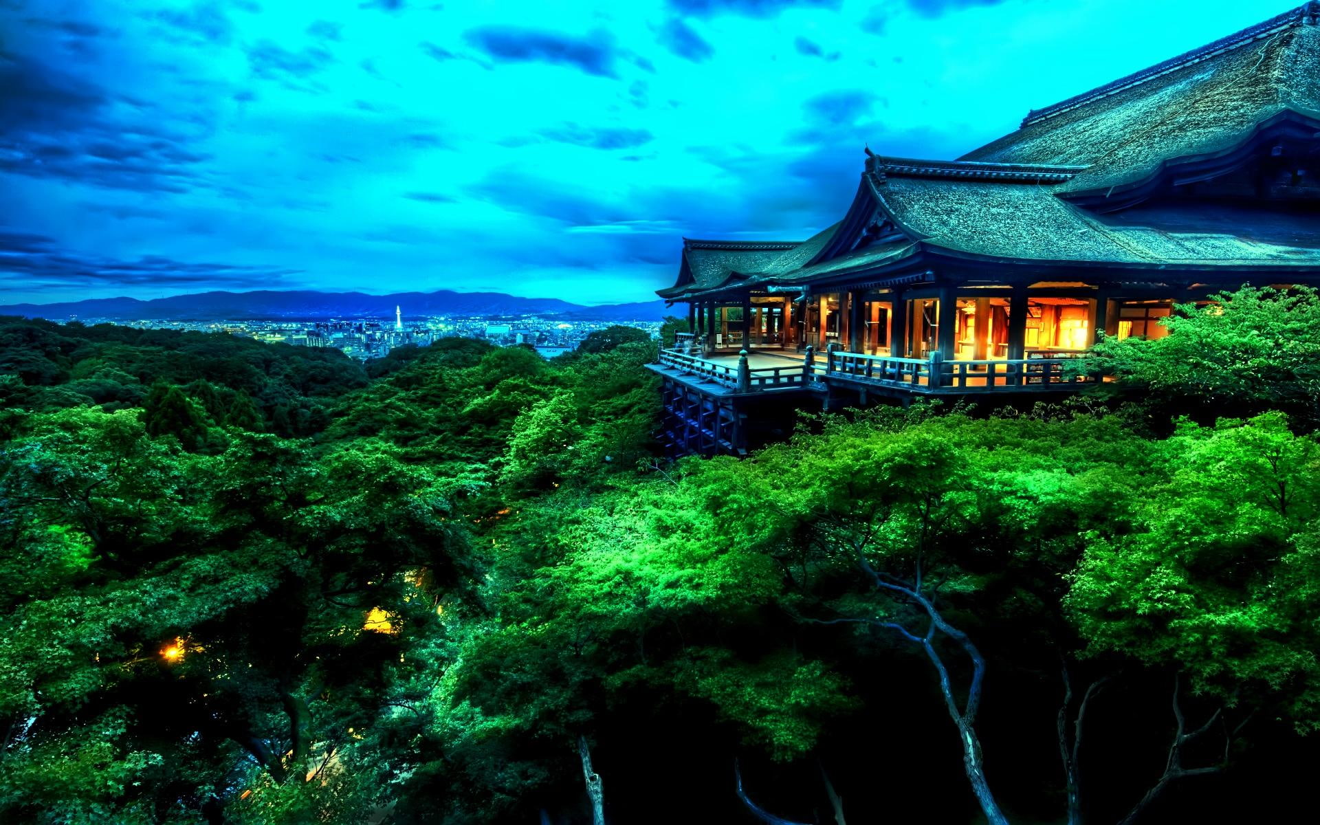 1080P, animals, hill top, ancient, tonight, pavilion, forest, staying, light, chinese, HD Wallpaper