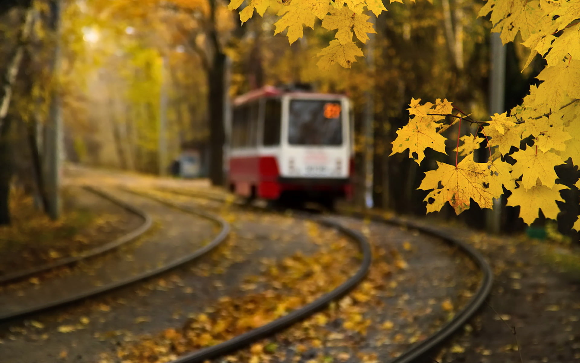 season, plant part, Moscow, station, train, track, outdoors, tram, red, travel, landscape, cable Car, motion, train - vehicle, yellow, transportation, mode of transportation, HD Wallpaper