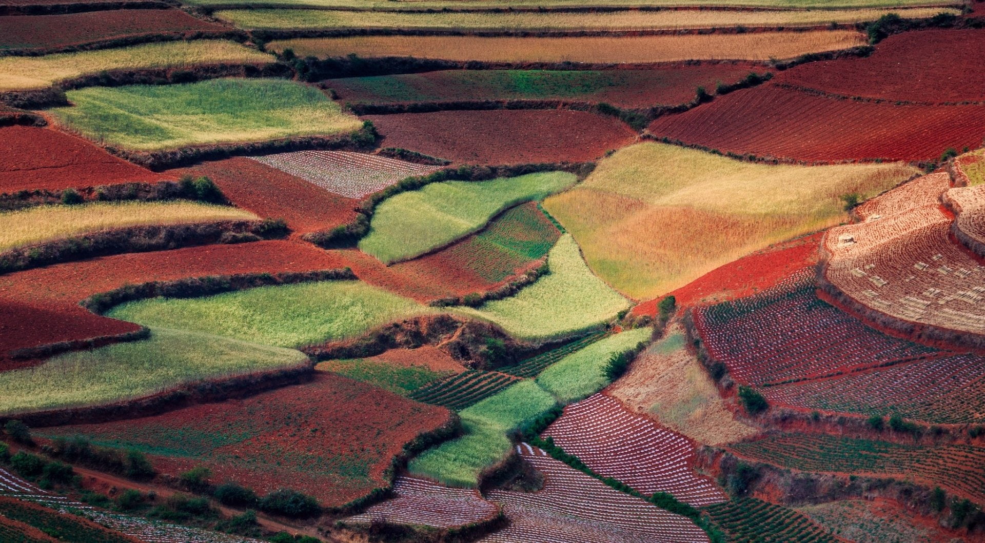 China, Dongchuan, Field, Earth, Yunnan, 1080P, HD Wallpaper