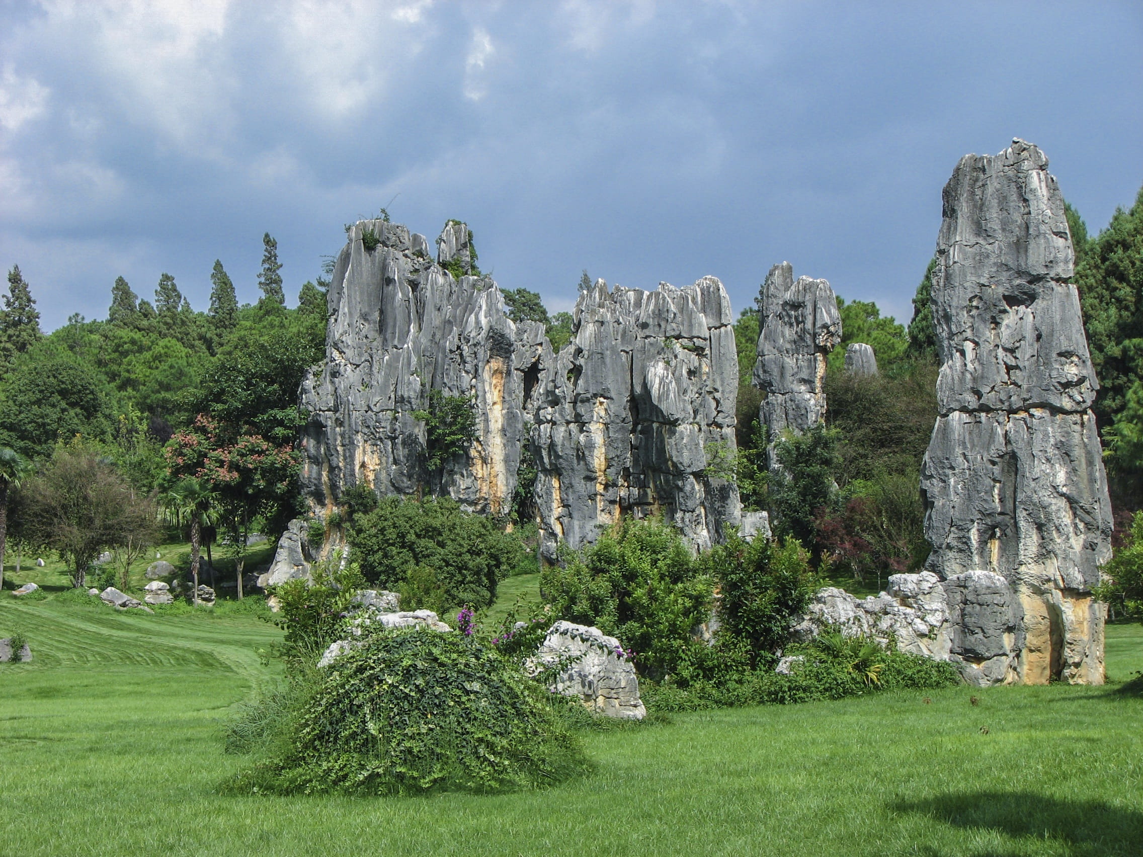 solid, scenery, scenics - nature, green color, yunnan, tranquility, 1080P, grass, growth, outdoors, land, no people, rock - object, nature, china, tree, HD Wallpaper