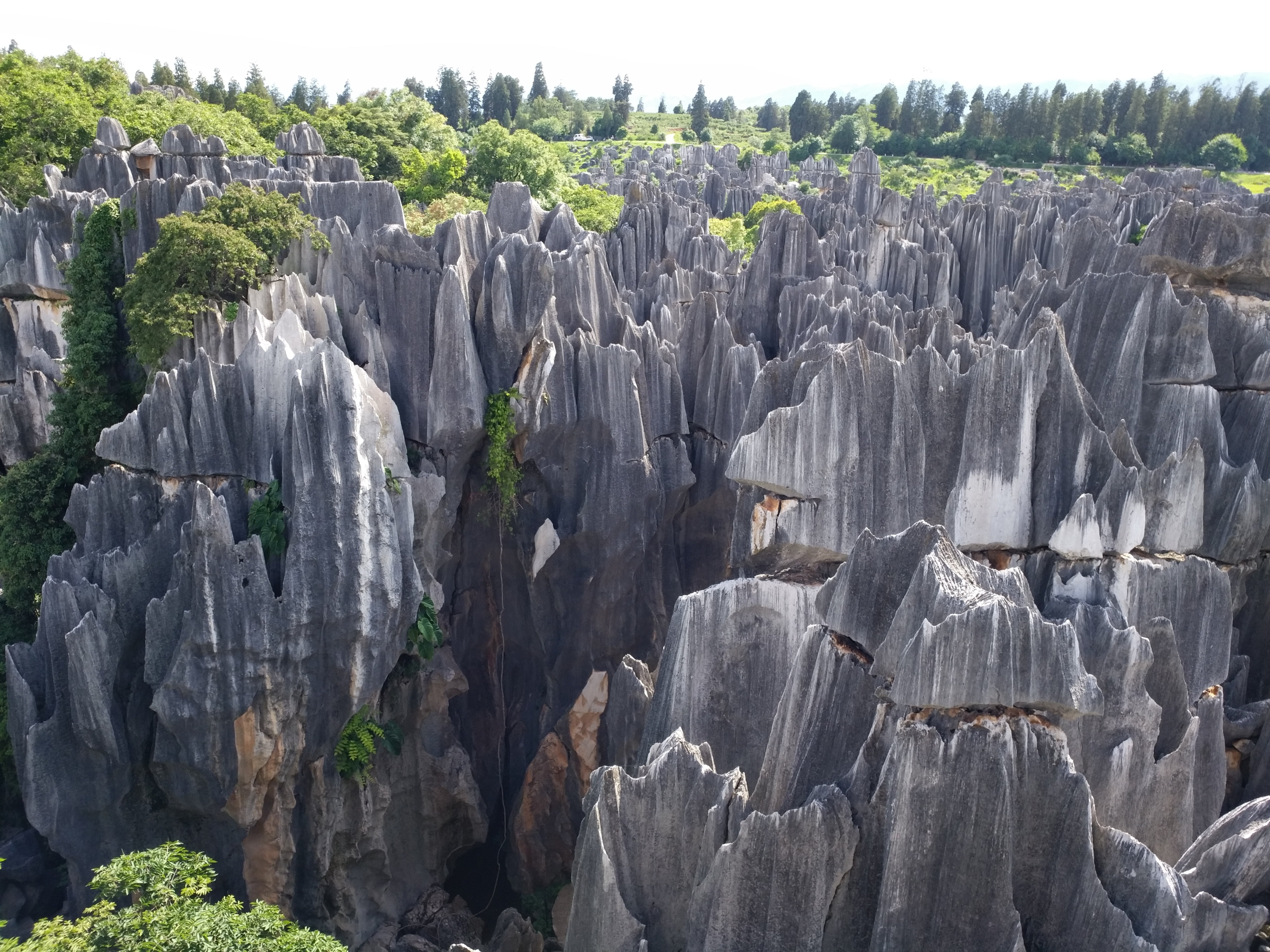 rock formation, rock - object, environment, mountain, no people, in yunnan province, scenics - nature, the scenery, day, nature, rock, land, 4K, tree, HD Wallpaper