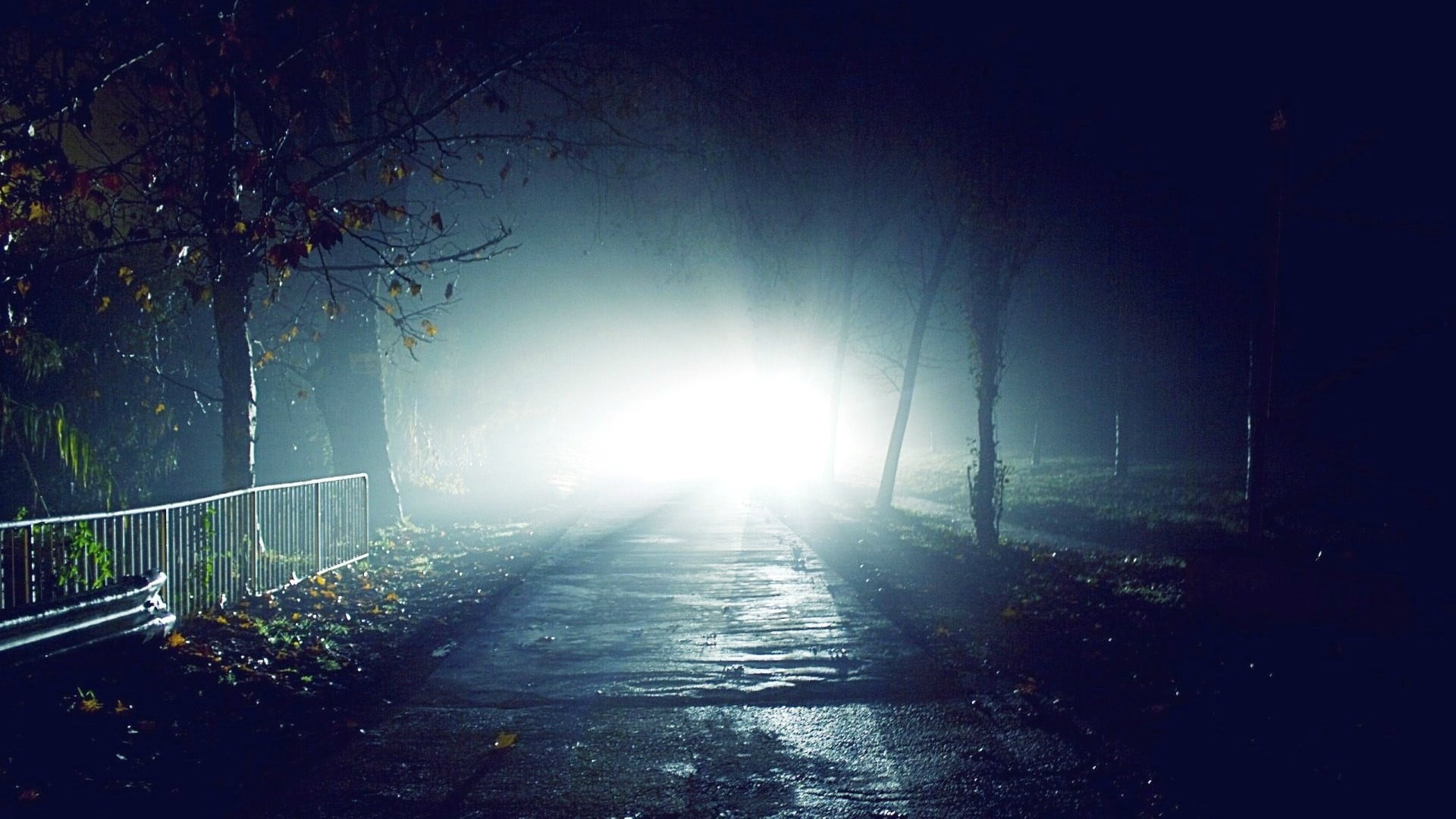 sky, landscape, no people, weather, fog, 1080P, road, city, structure, travel, sunset, growth, the way forward, sun, star, lens flare, diminishing perspective, HD Wallpaper