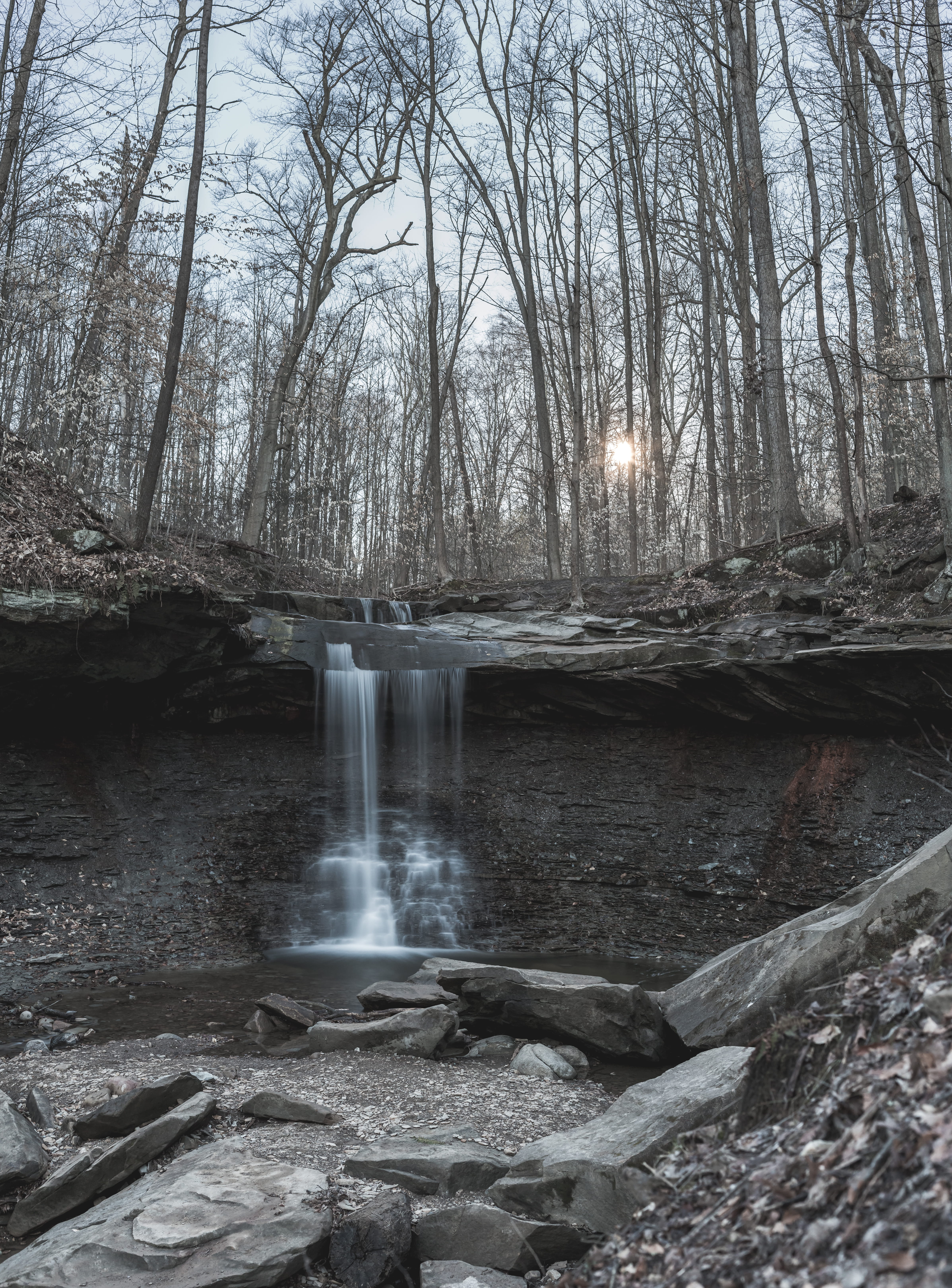 plant, flowing, beauty in nature, 5K, motion, cold temperature, outdoors, spring, night, screen saver, waterfall, trunk, stream - flowing water, no people, Phone HD Wallpaper