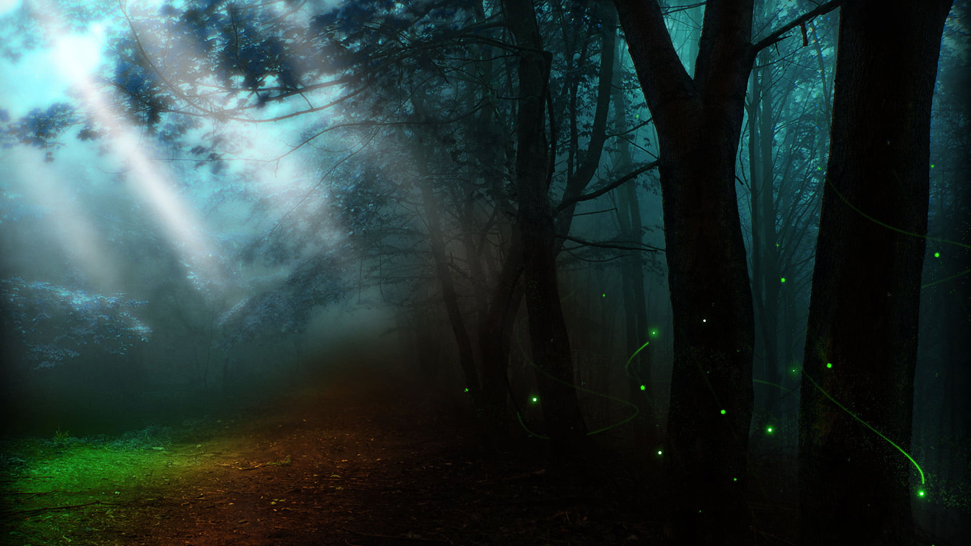 spooky, star, no people, summer, clear, scenery, clouds, bright, horizon, woodland, sun, tree trunk, night, fantasy, nature, dark, space, peace, HD Wallpaper