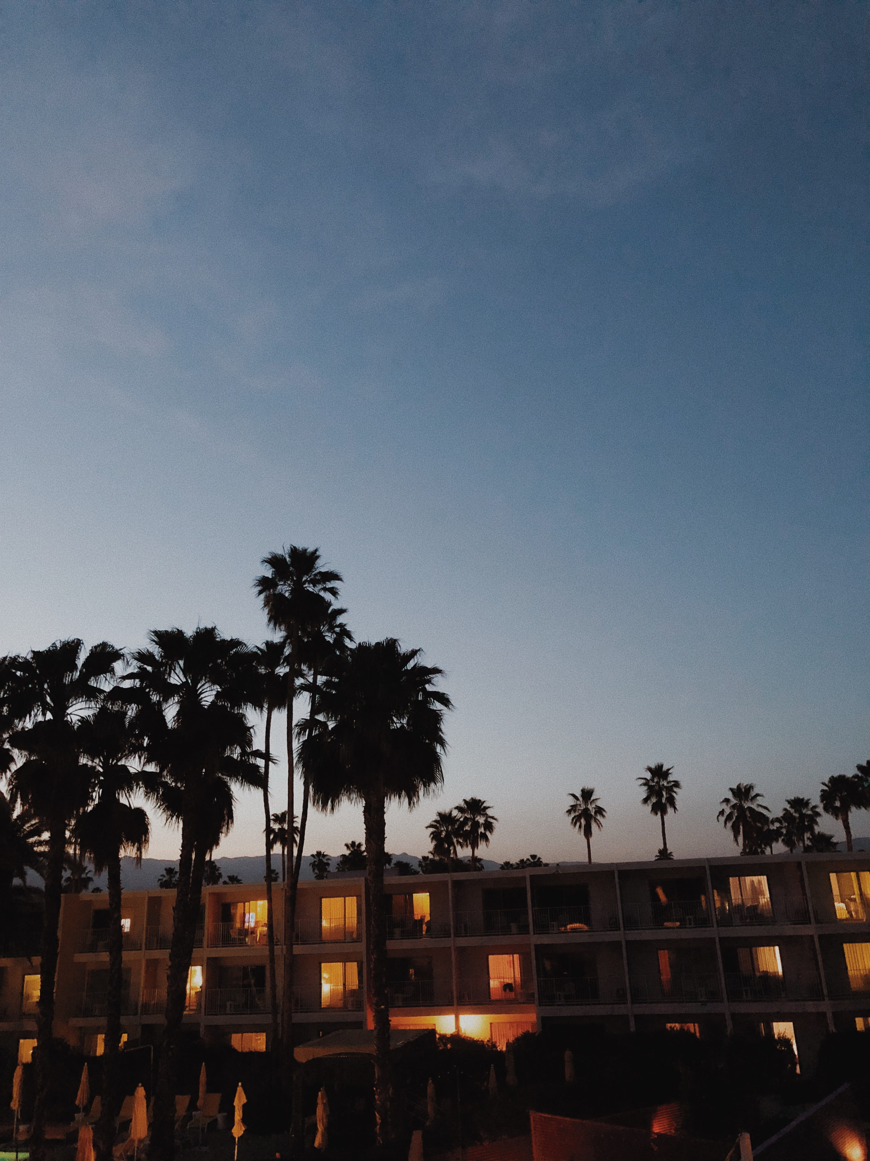 outdoors, dusk, 4K, los angeles, the saguaro palm springs, lights, nature, tropical climate, palm, california, la, united states, sky, plant, architecture, Phone HD Wallpaper