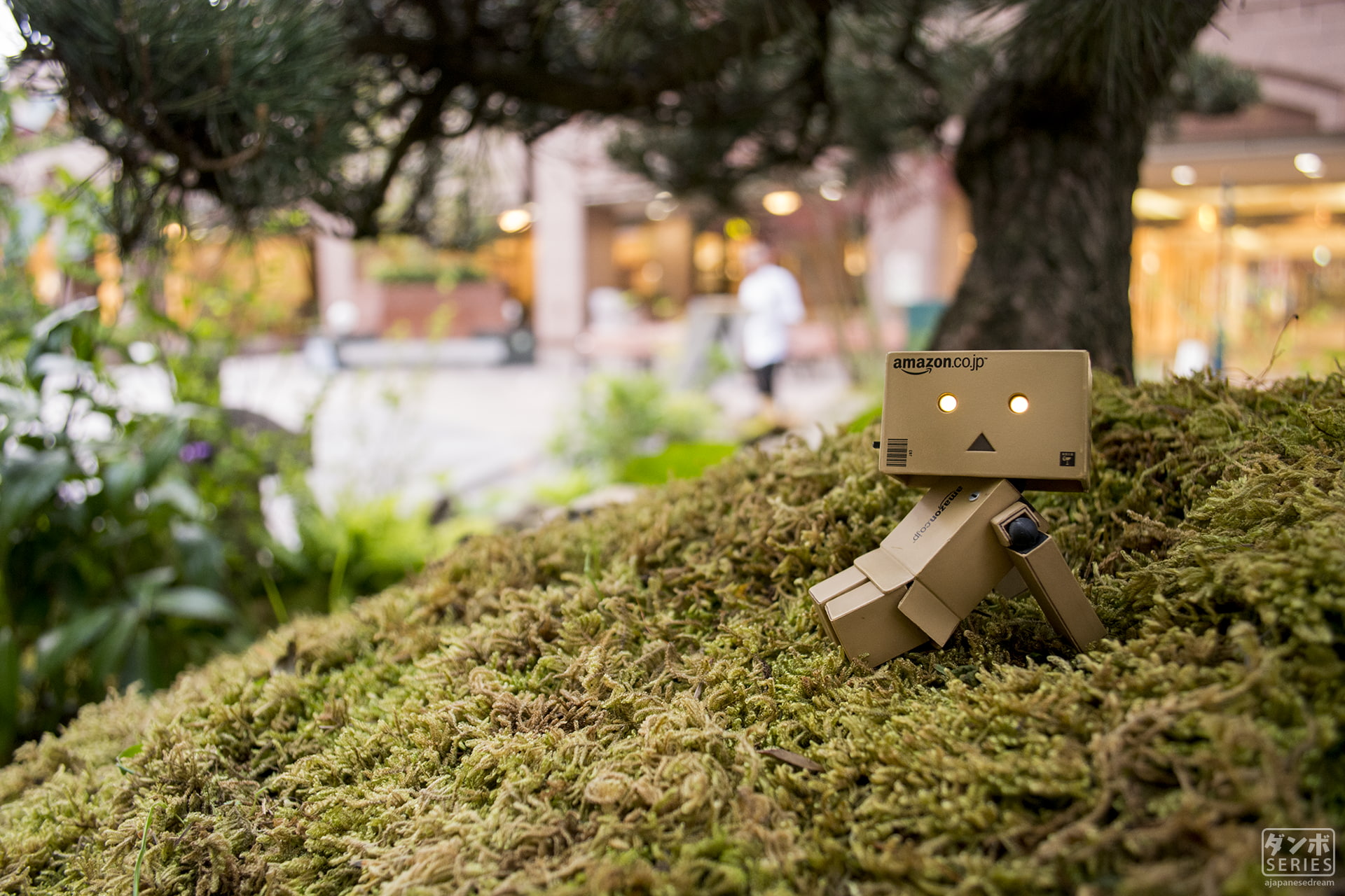 Danbo, night, selective focus, day, nature, communication, plant, white color, anime, no people, green color, Osaka, focus on foreground, leaf, growth, HD Wallpaper