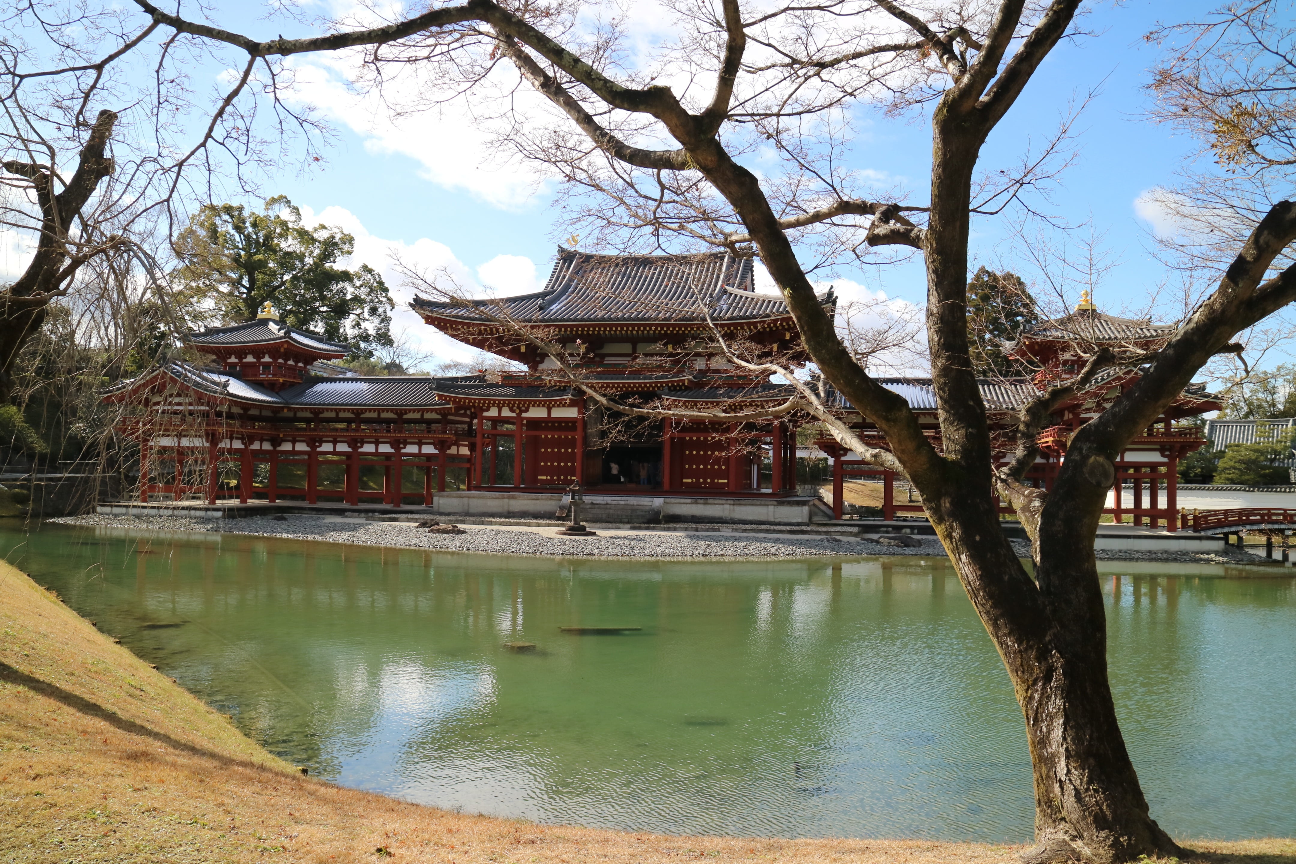building, waterfront, sky, belief, place of worship, architecture, outdoors, byodo-in temple, no people, building exterior, 4K, plant, tree, built structure, HD Wallpaper