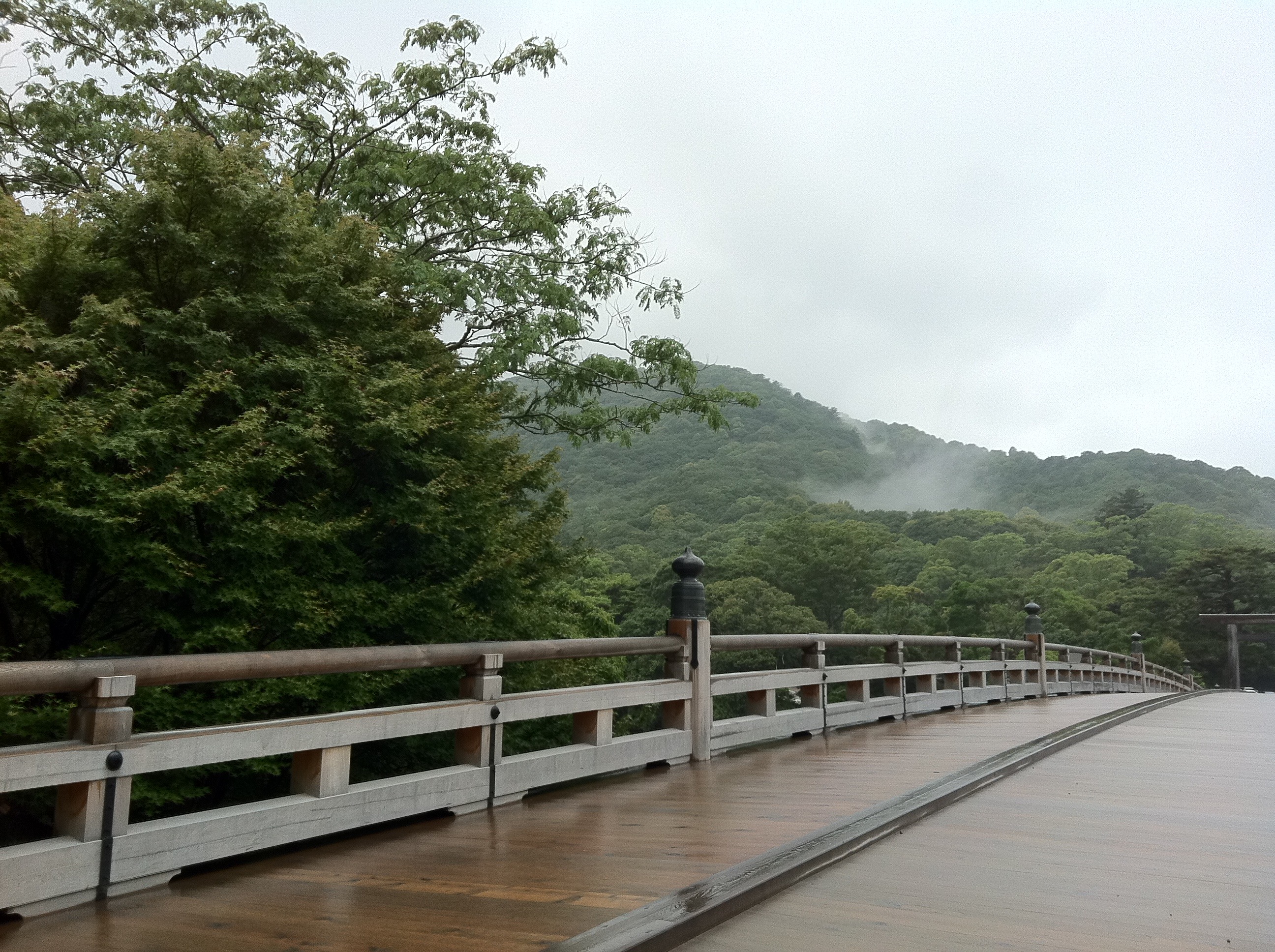 rainy season, architecture, outdoors, shrine, day, bridge, no people, 2K, plant, scenics - nature, wood bridge, nature, the way forward, railing, uji bridge, HD Wallpaper