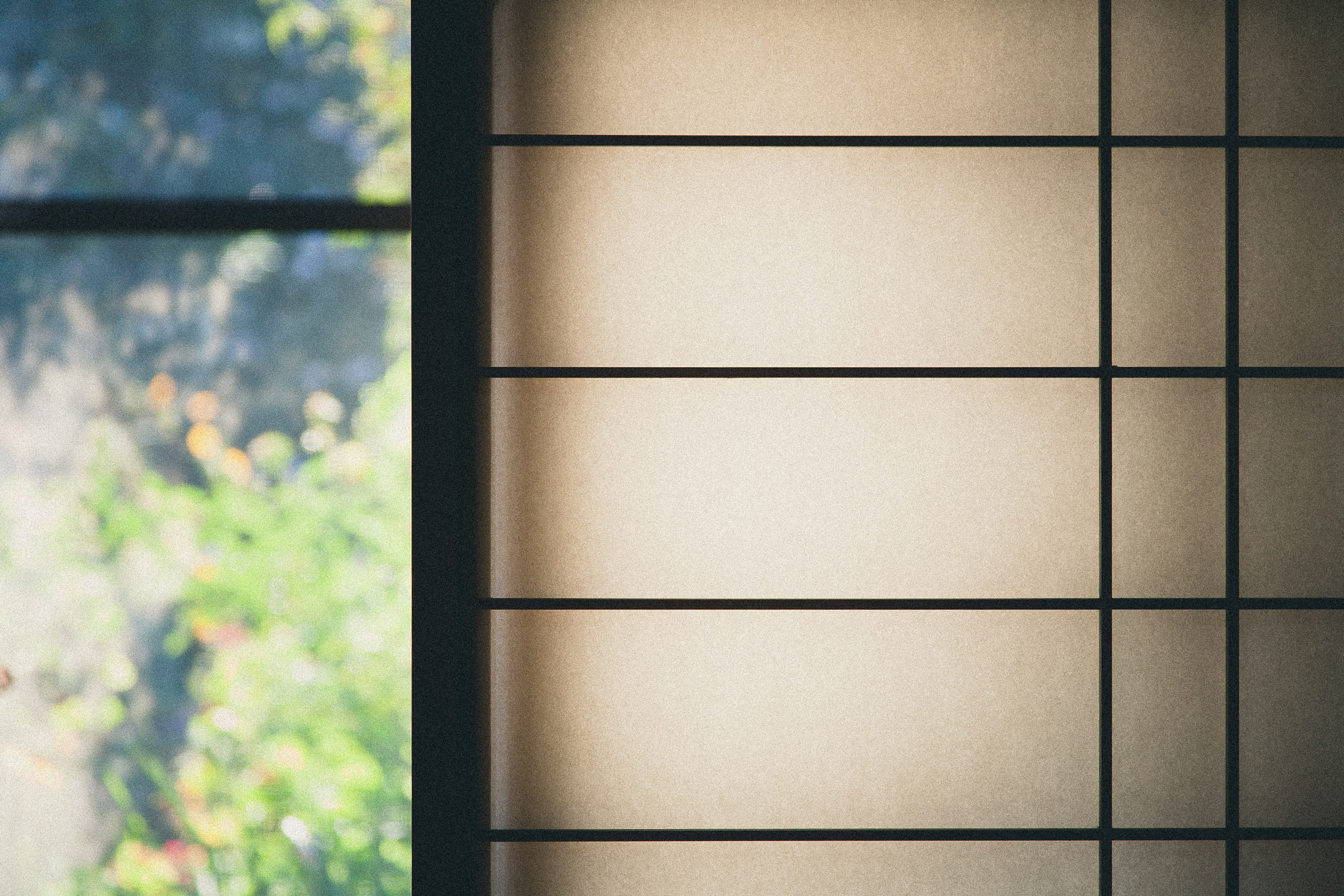 window, wall - building feature, abstract, no people, indoors, pattern, background, glass - material, metal, transparent, geometric, plant, squares, close-up, HD Wallpaper