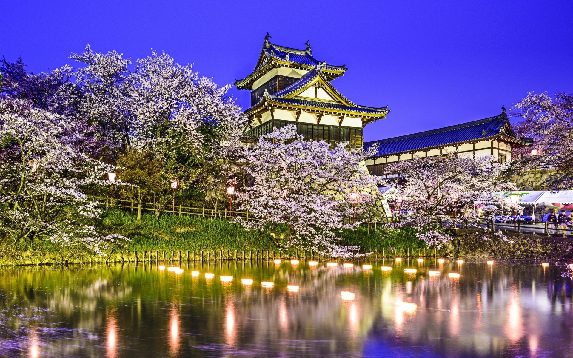 reflection, building, water, building exterior, Yamatokoriyama, blossom, purple, Castles, Nara, no people, travel destinations, river, outdoors, Koriyama Castle, HD Wallpaper
