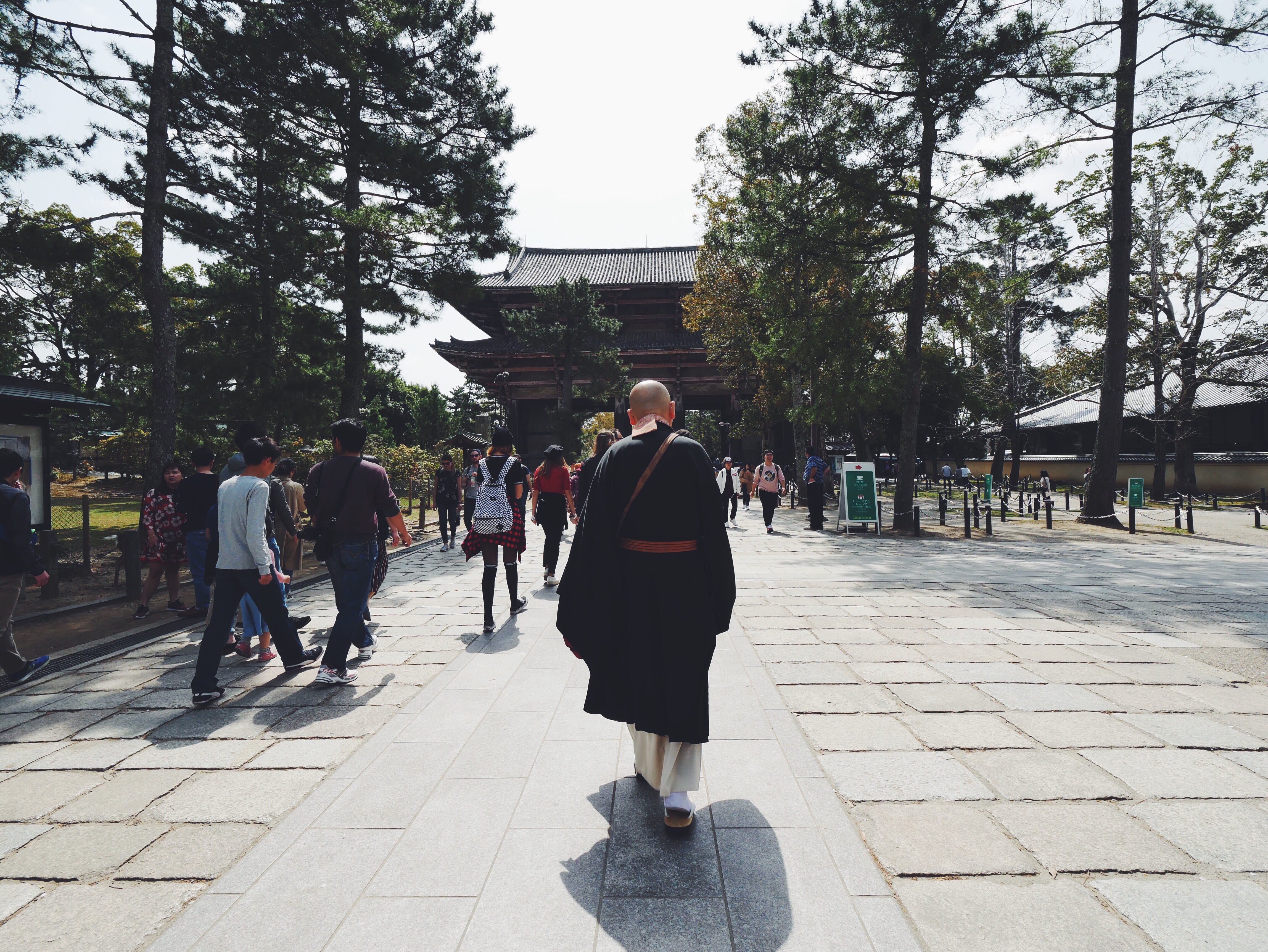 outdoors, city, lifestyles, nara prefecture, people, building exterior, built structure, tree, group of people, japan, temple, street, monk, nature, women, HD Wallpaper