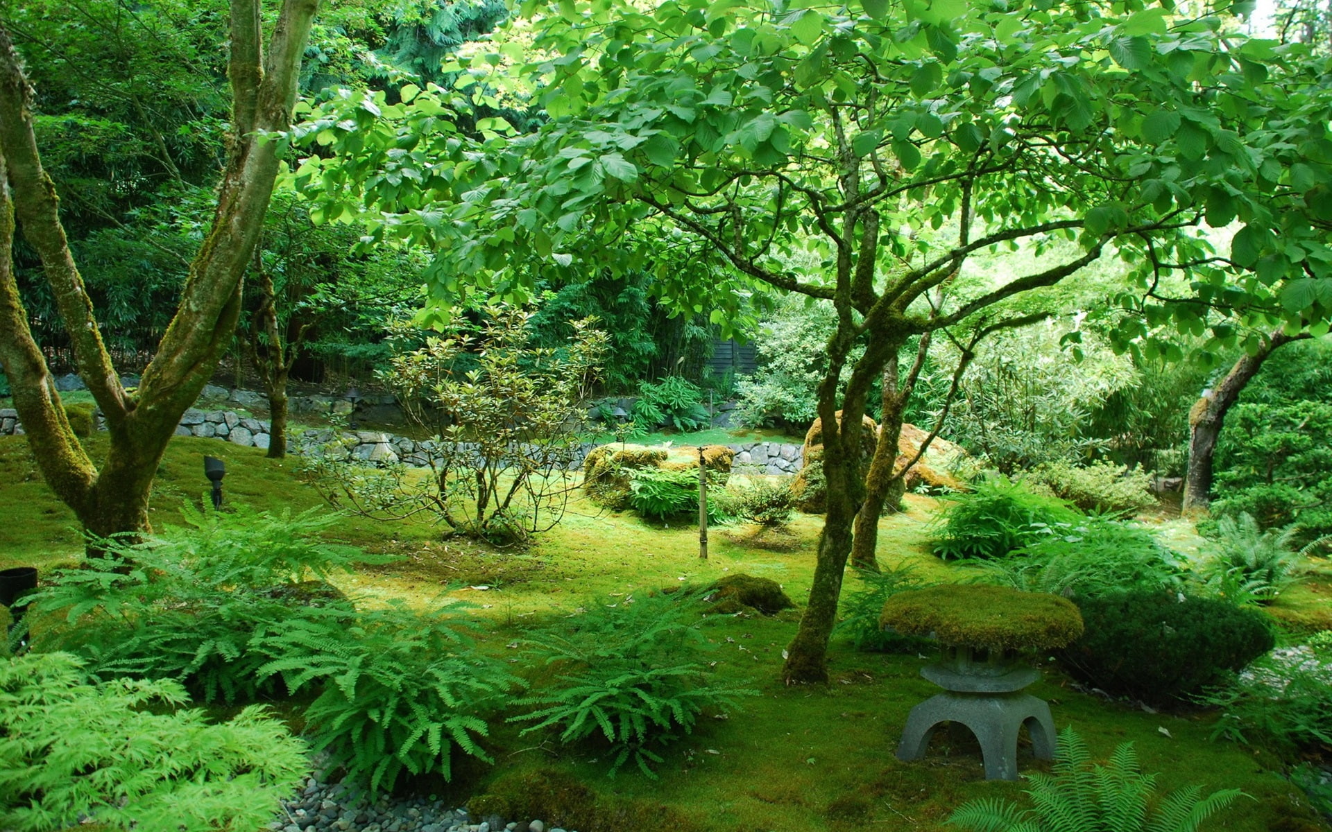 1080P, Garden, Green, Park, Trees, Canada, HD Wallpaper