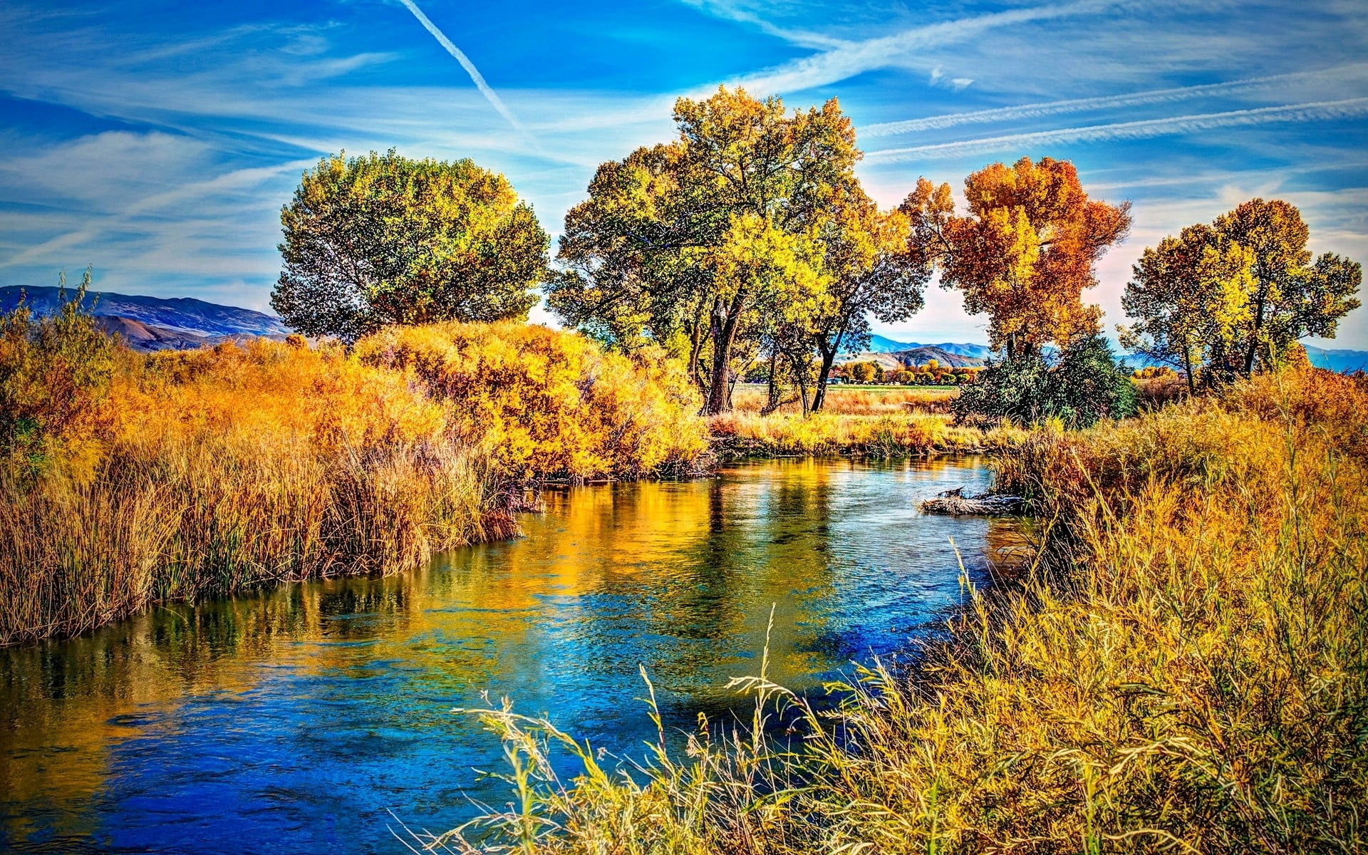 nature, autumn, beauty in nature, clouds, colorful, day, tranquility, water, land, tree, HDR, photography, sky, non-urban scene, outdoors, shrubs, brown, HD Wallpaper
