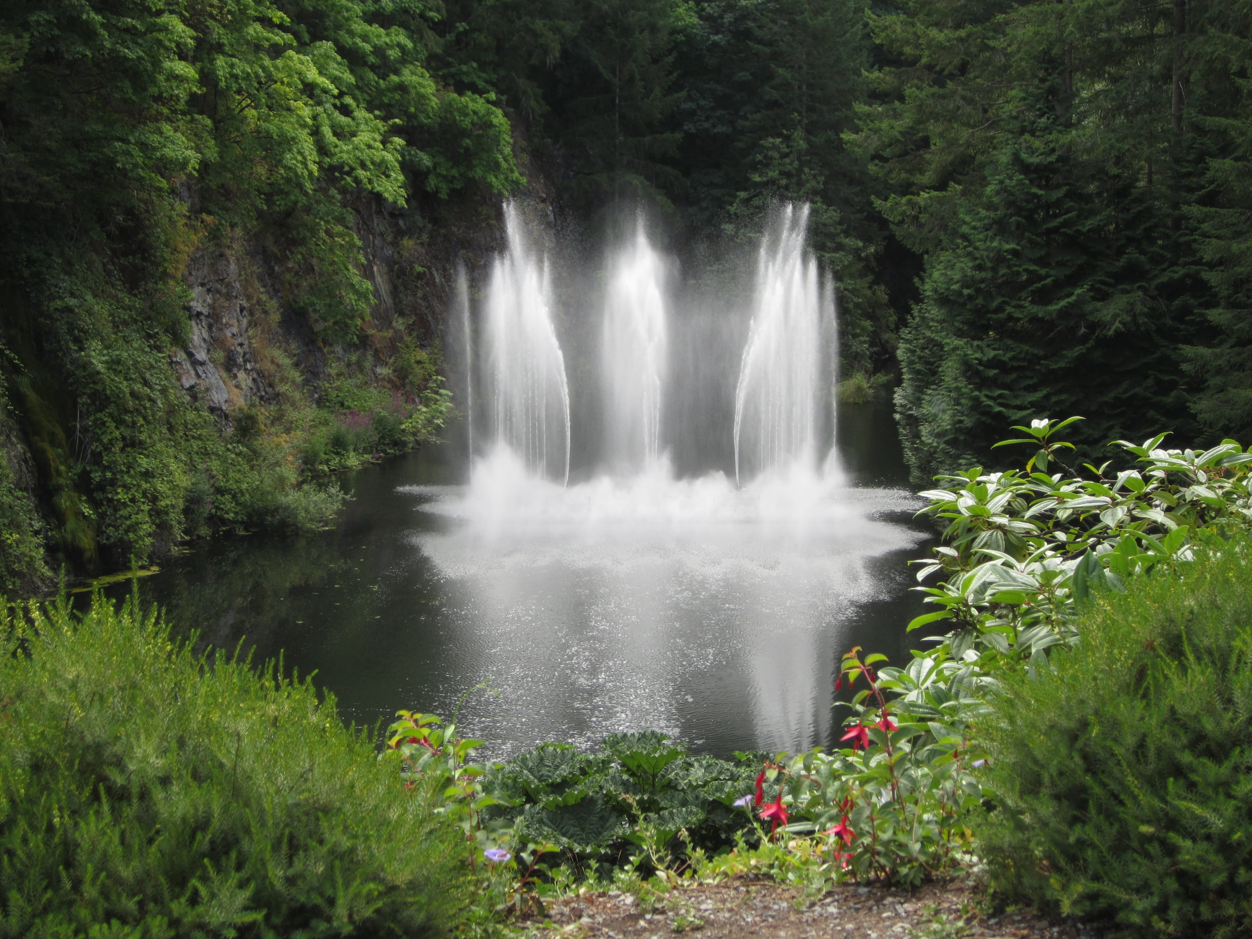 4K, plant, surrounded, park, trees, butchart garden, daytime, motion, scenics - nature, power in nature, forest, waterfall, long exposure, victoria, foliage, HD Wallpaper