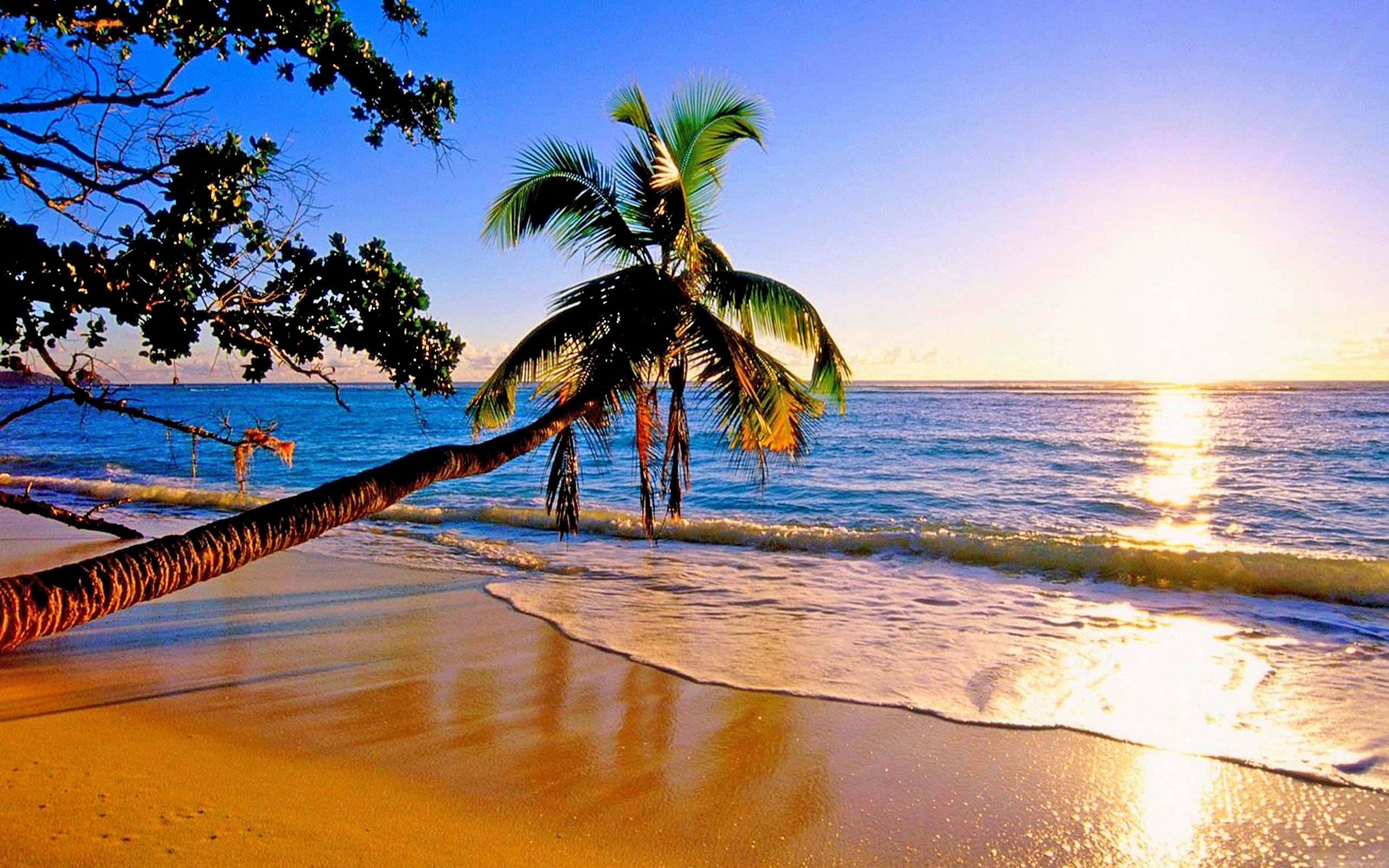 2K, paradise, beautiful, beach, HD Wallpaper
