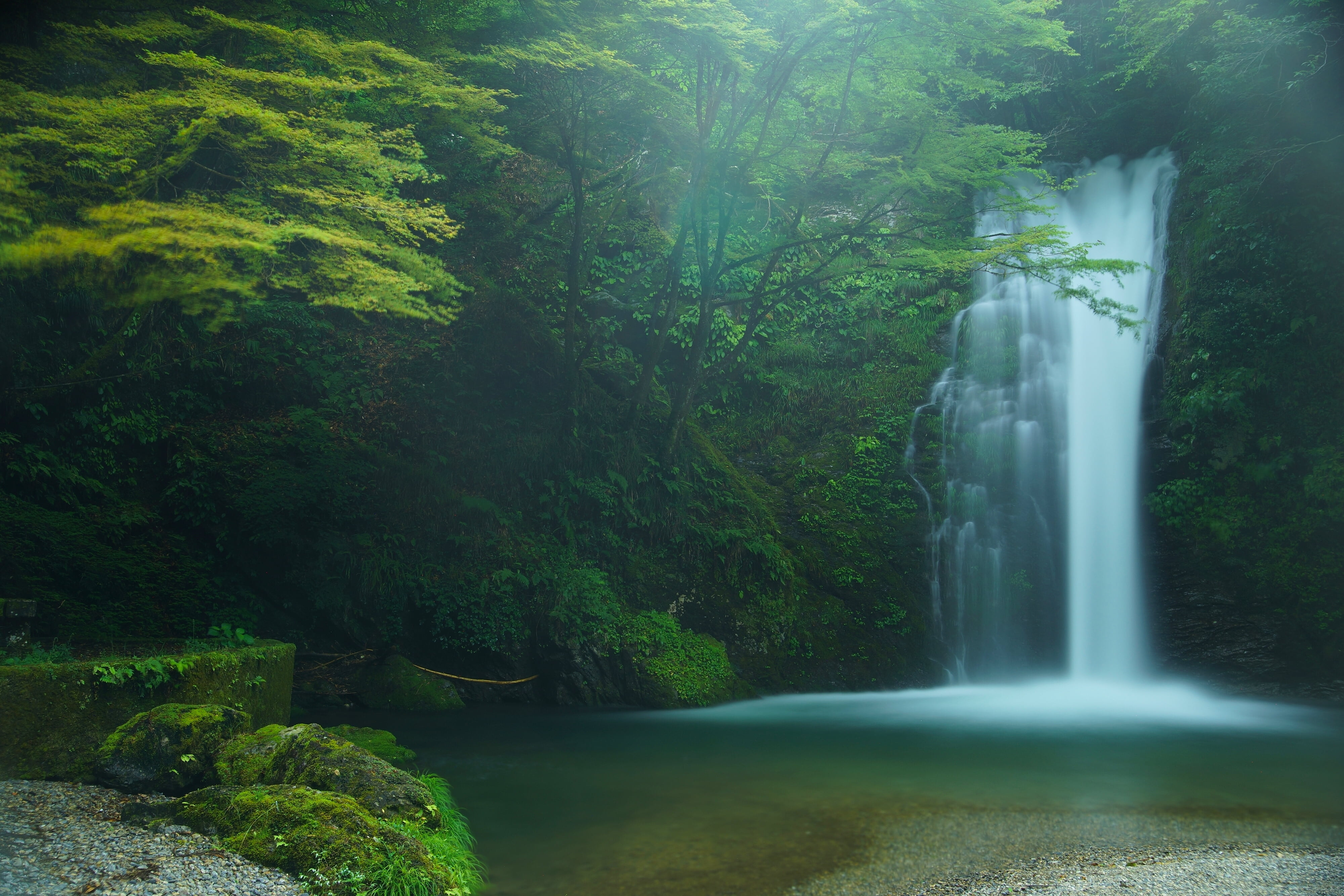 rock, 4K, forest, land, power in nature, leafed, non-urban scene, scenics - nature, green color, solid, Fujinomiya, no people, Japan, waterfalls, environment, HD Wallpaper
