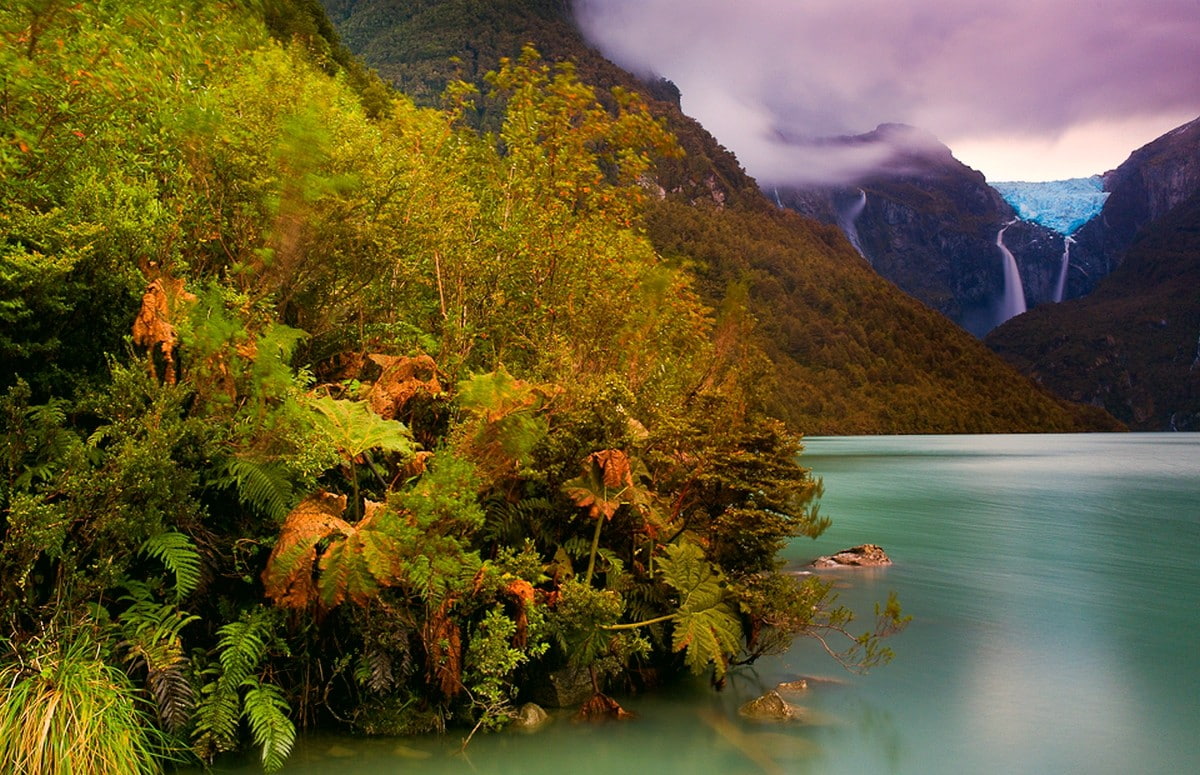 shrubs, nature, forest, Patagonia, ferns, mountains, lake, waterfall, landscape, clouds, glaciers, Chile, 480P, HD Wallpaper