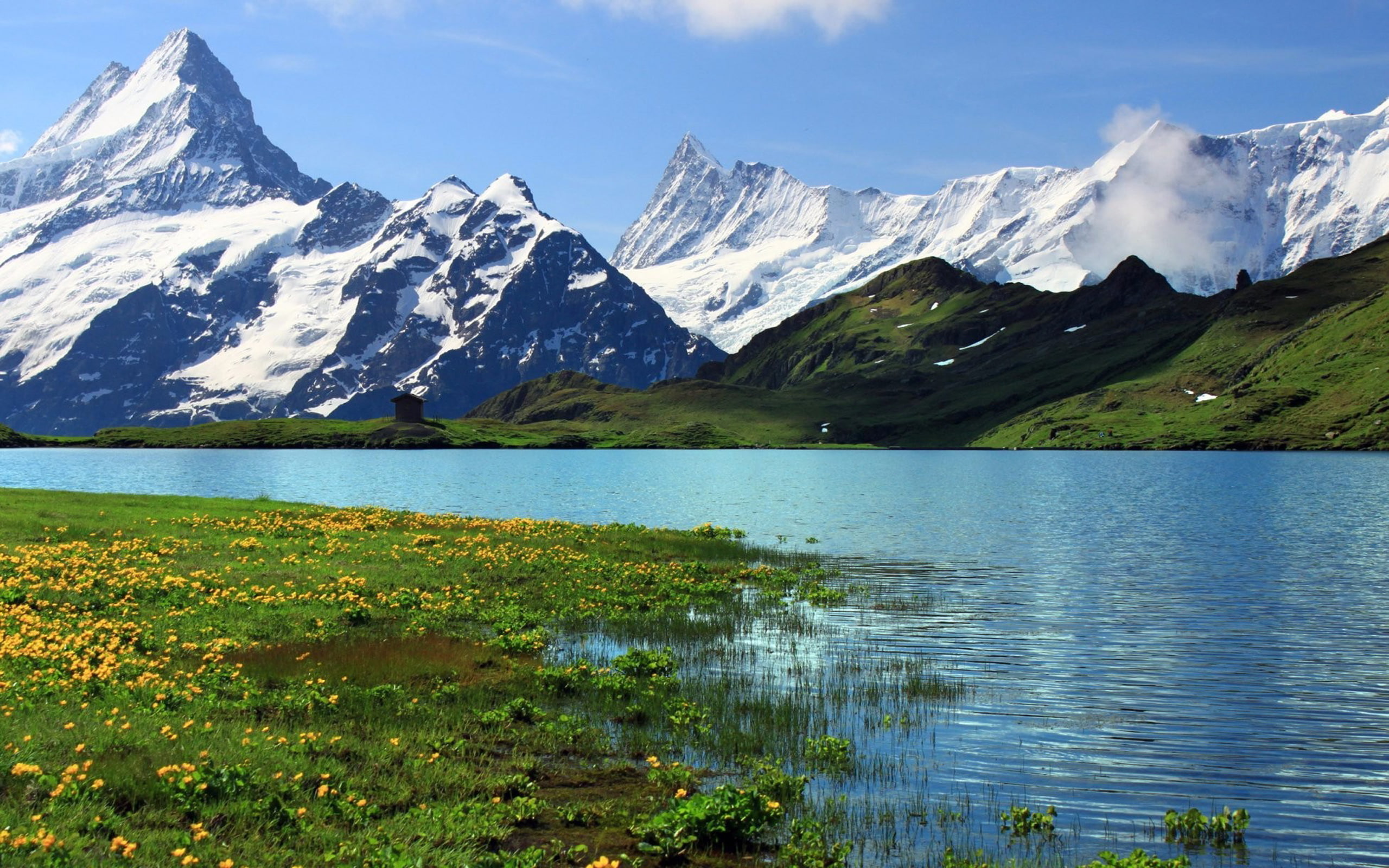 grass, widescreen, green, meadow, alps, river, yellow, switzerland, bern, flowers, 2K, hd, snow, blue, rocky, sky, mountain, HD Wallpaper