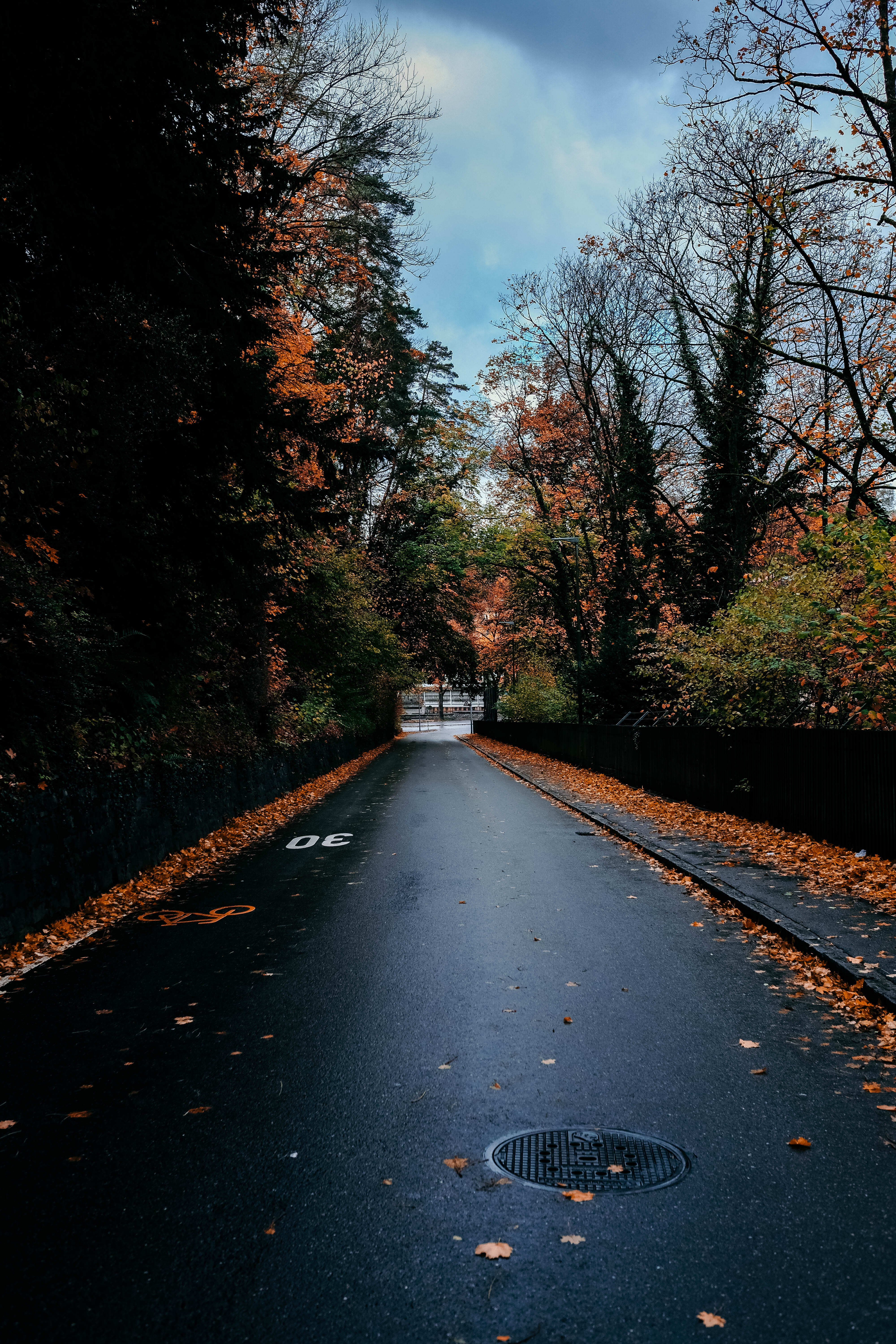 nature, the way forward, cloud - sky, 5K, outdoors, day, alone, direction, change, city, no people, road, trees, vanishing point, street, bern, transportation, Phone HD Wallpaper