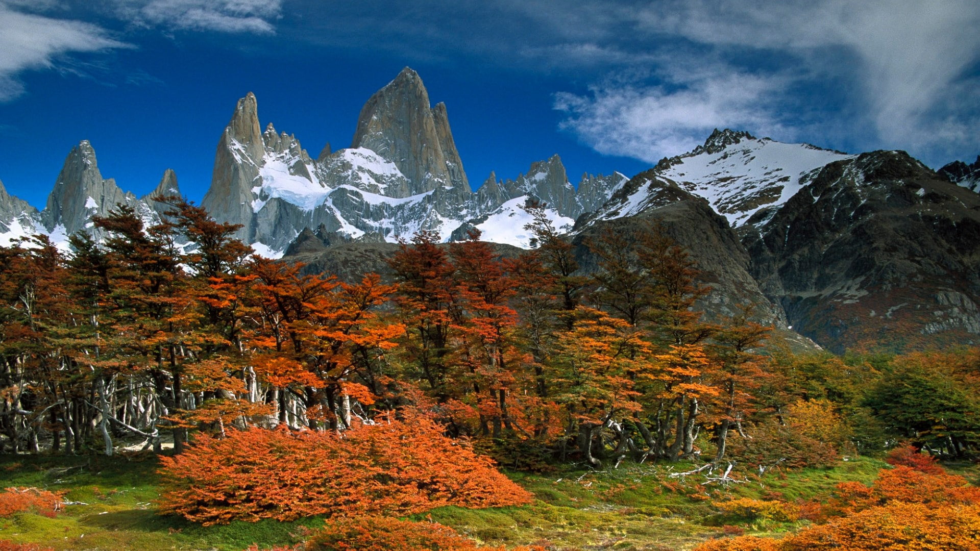 landscape, plant, cloud - sky, sky, day, nature, no people, change, outdoors, 1080P, scenics - nature, autumn, mountain, mount fitzroy, mountain peak, HD Wallpaper