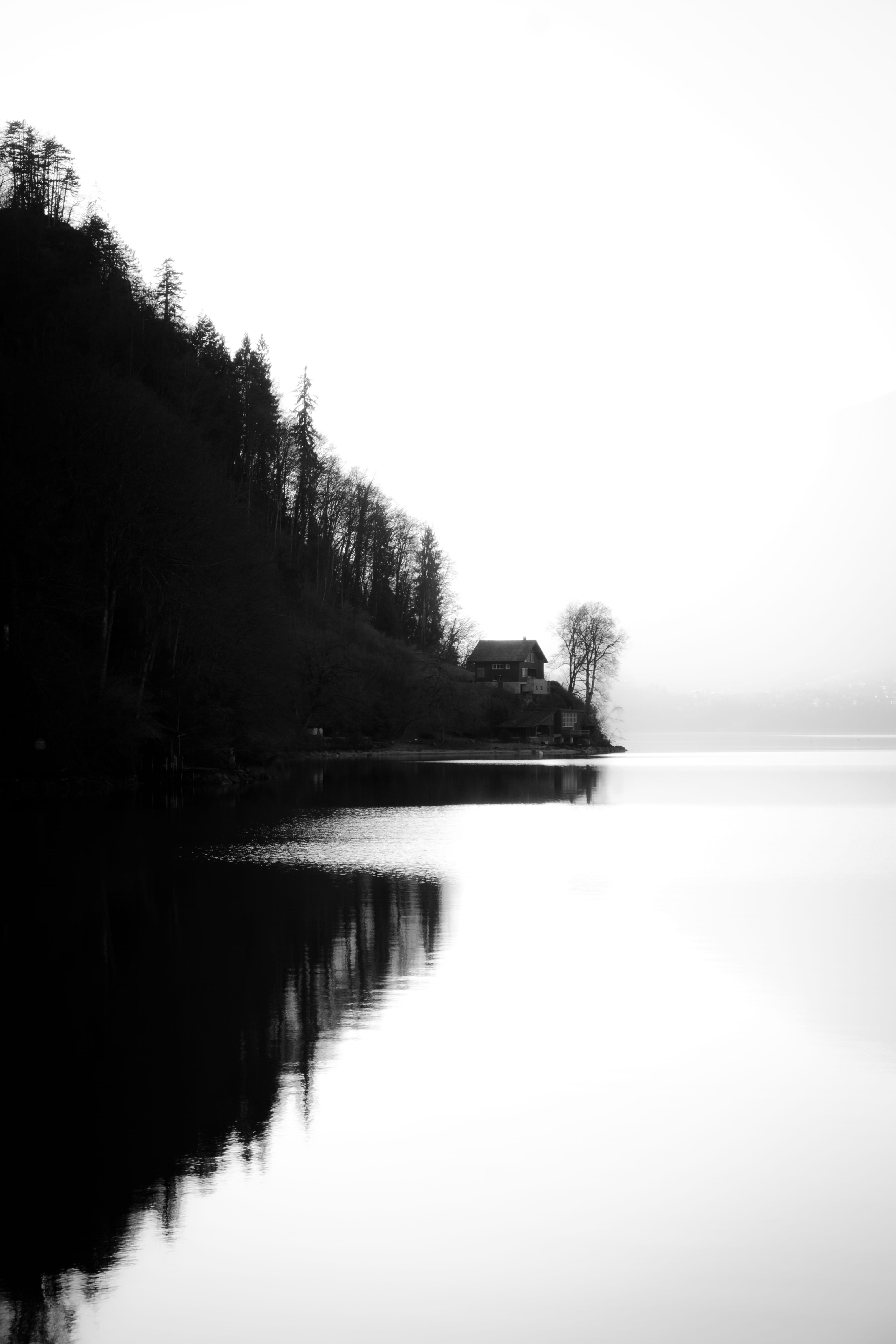 lake, sky, scenics - nature, foggy, winter, copy space, tree, trees, tranquil scene, water, blackandwhite, tranquility, brienz, 5K, clear sky, nature, Phone HD Wallpaper