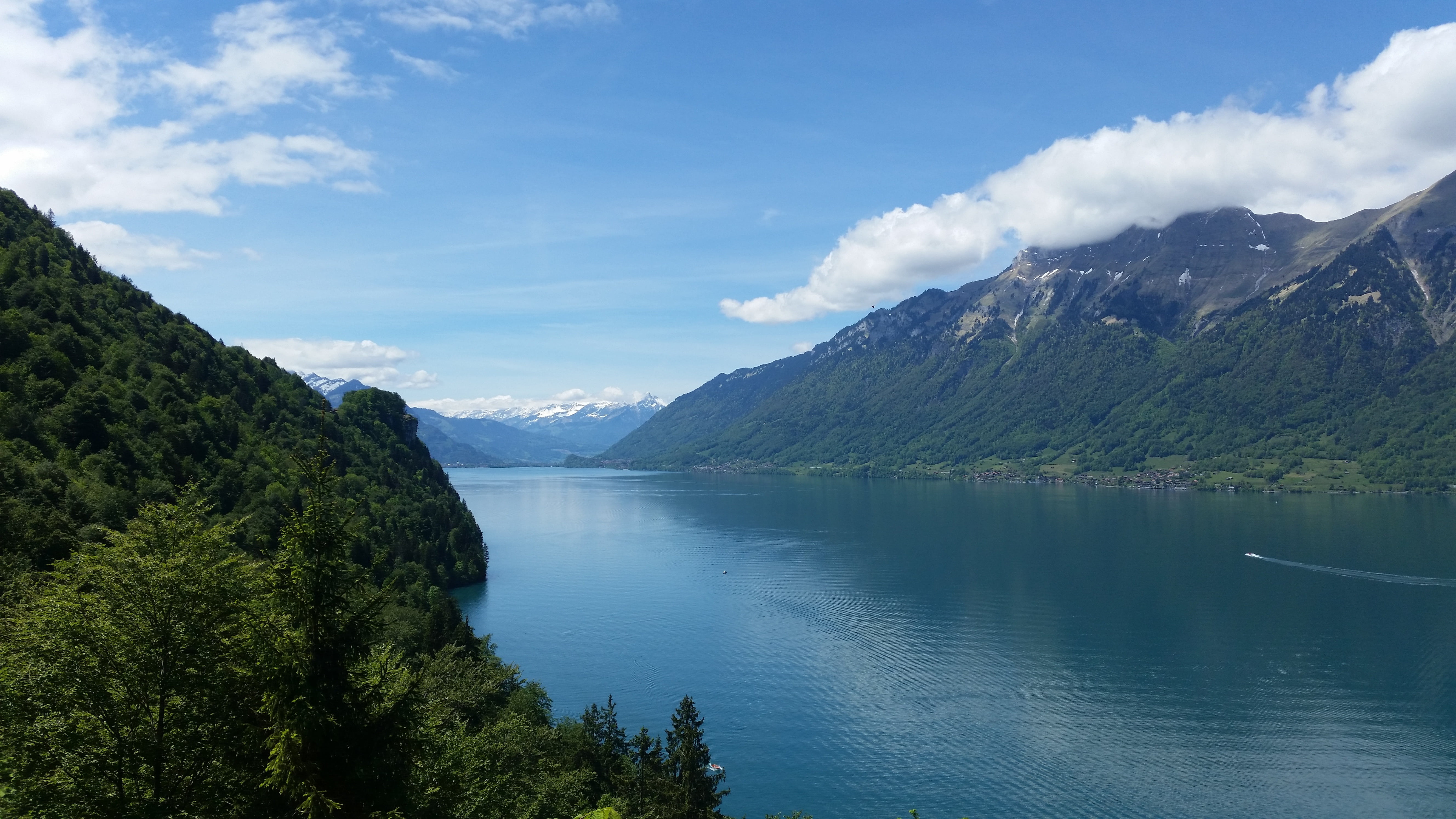 no people, outdoors, mountains, beauty in nature, switzerland, 5K, tree, lake, summer, non-urban scene, environment, water, nature, tranquility, tranquil scene, HD Wallpaper
