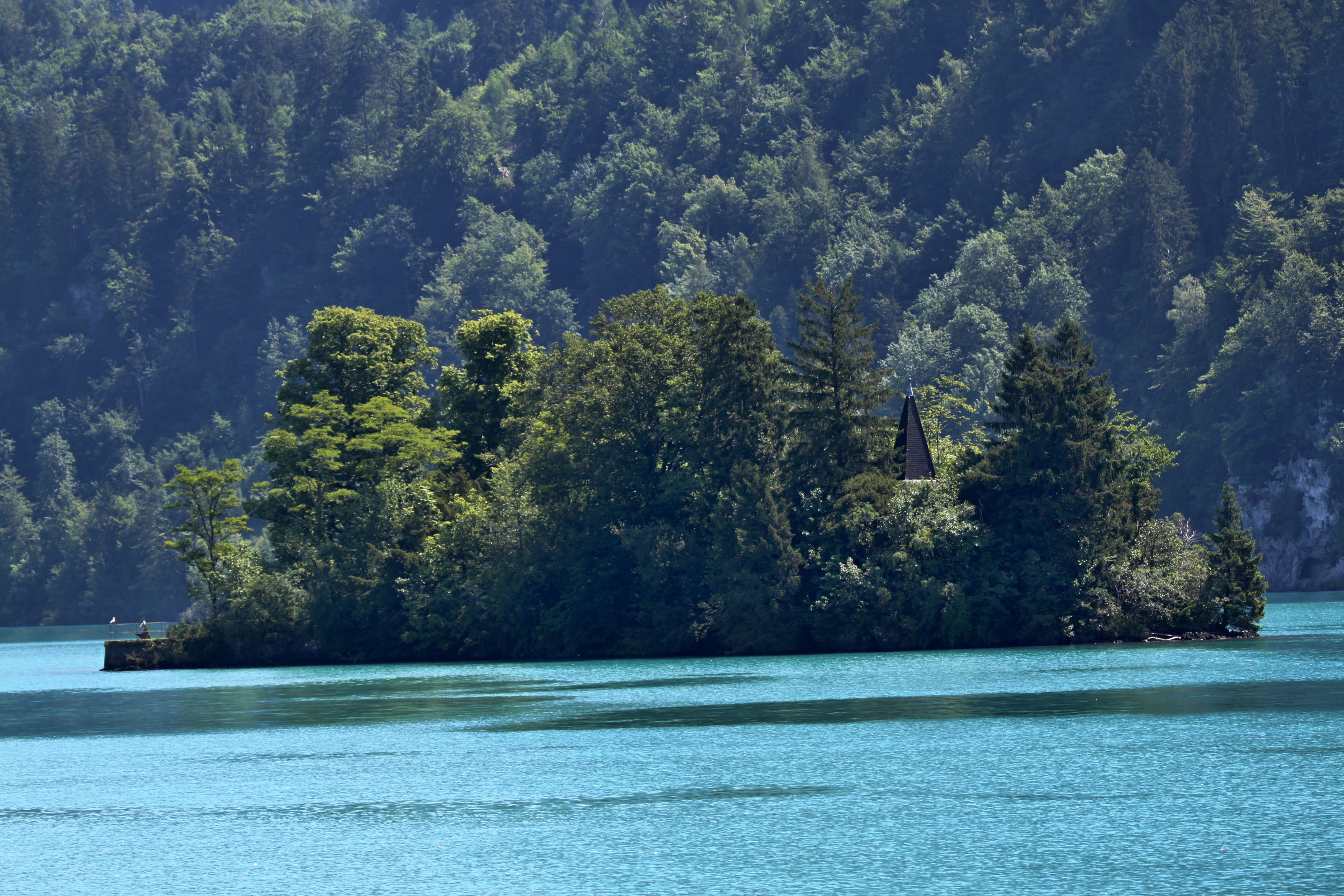 day, landscape, waterfront, 4K, sea, beauty in nature, green color, switzerland, tranquil scene, non-urban scene, tree, scenics - nature, lake, land, coniferous tree, HD Wallpaper