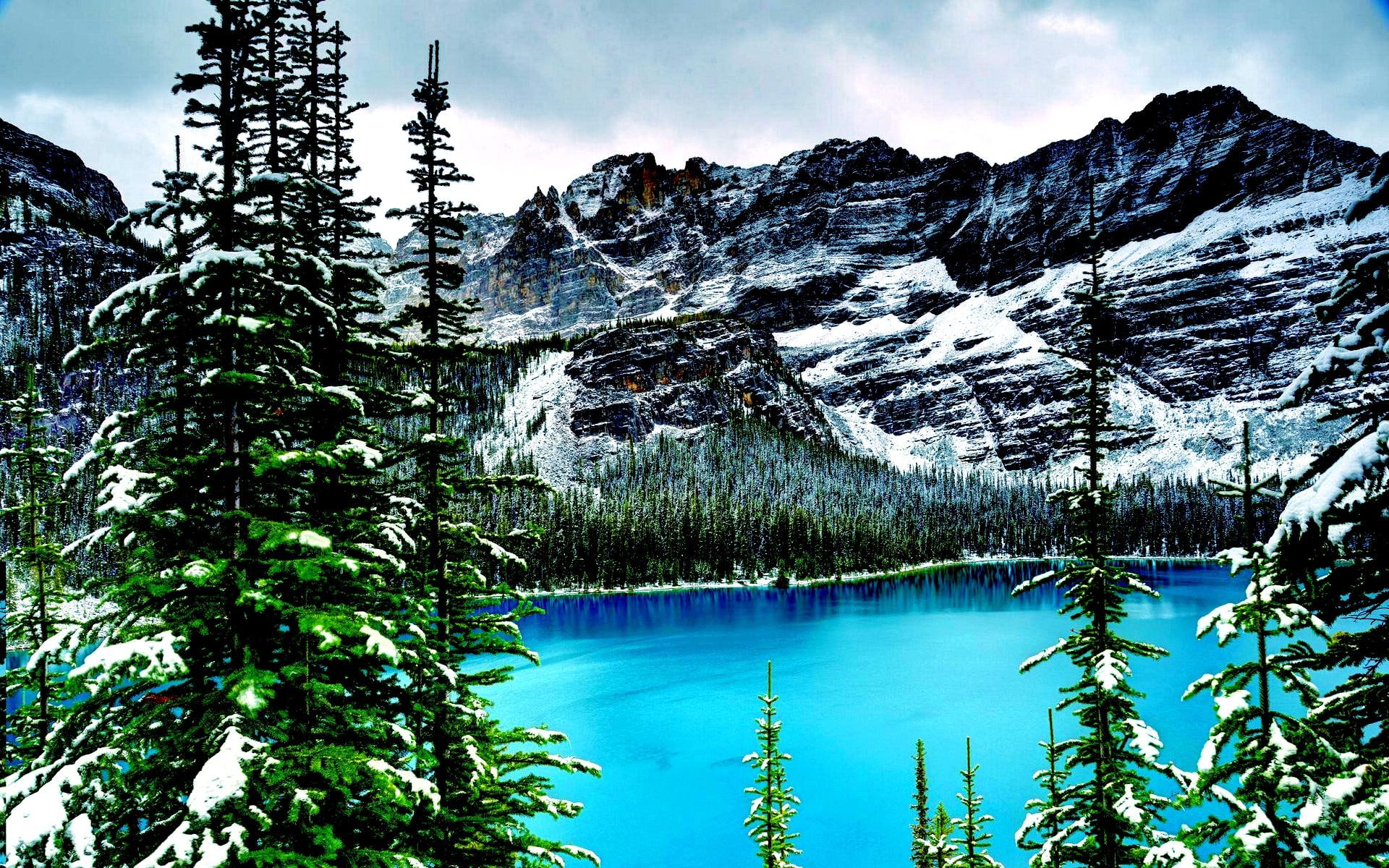 park, yoho, rocky mountains, national, nature and landscapes, canada, water, tree, 1080P, HD Wallpaper