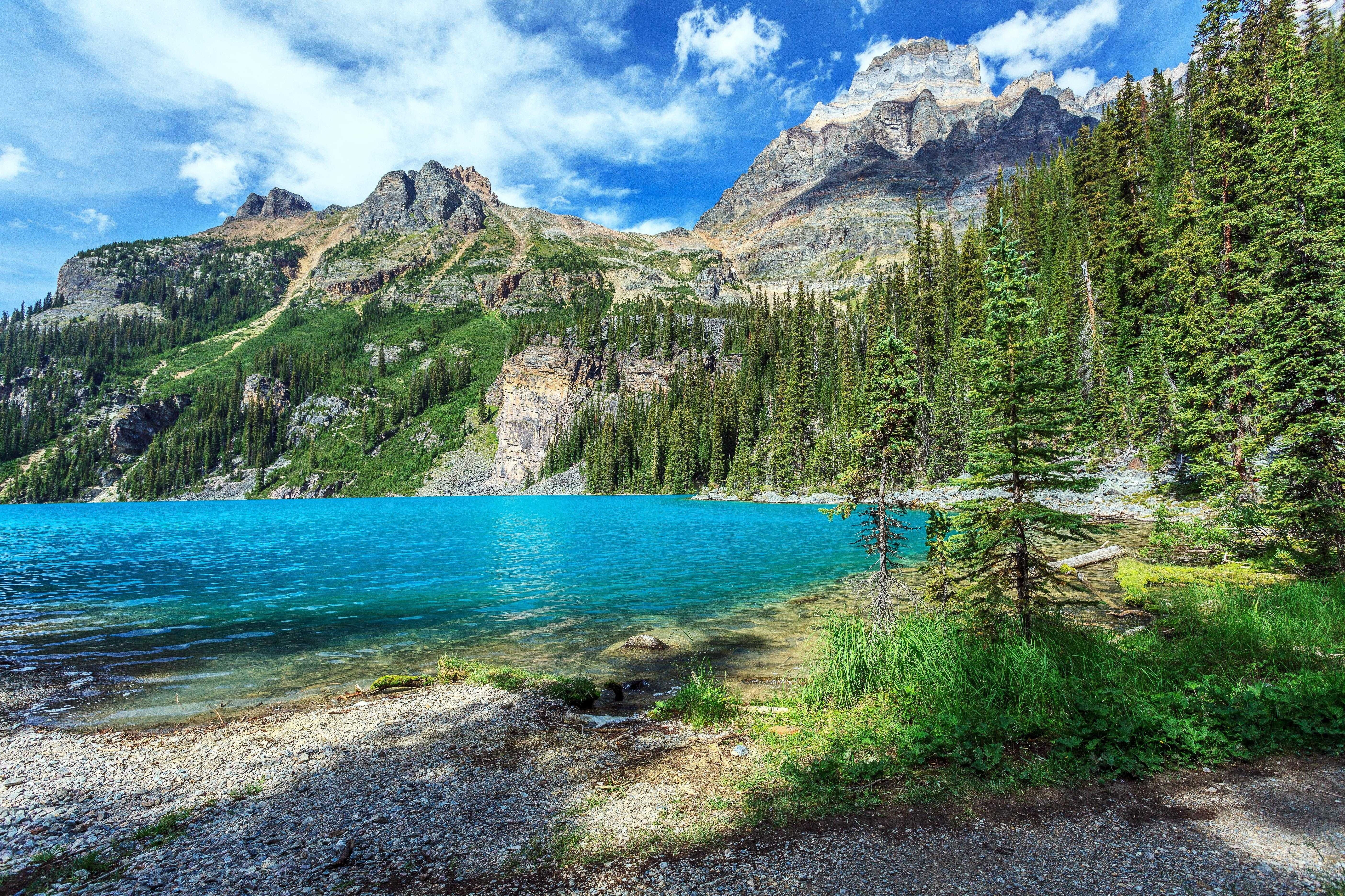 national, columbia, british, 5K, yoho, park, mountains, lake, trees, HD Wallpaper