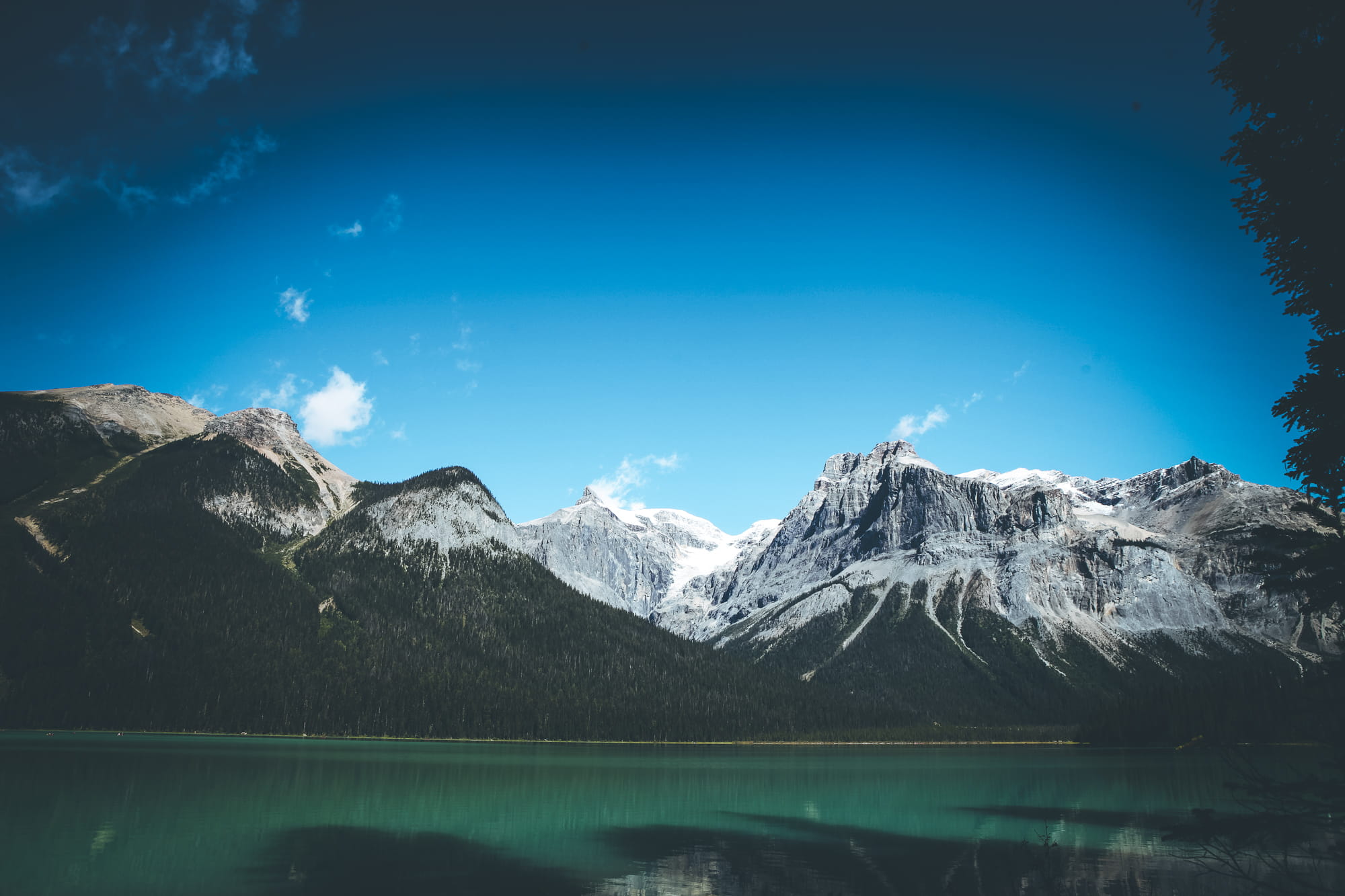 1080P, tranquility, cold temperature, mountains, emerald lake lodge, winter, yoho national park, waterfront, lake, field, water, emerald lake, forest, HD Wallpaper
