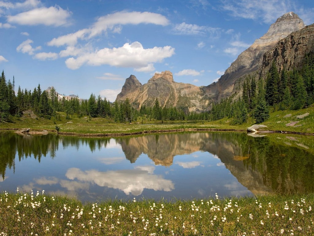 480P, yoho, water, british, mountains, columbia, nature, moor, art, national, sky, hd, lakes, Flowers, canada, park, HD Wallpaper