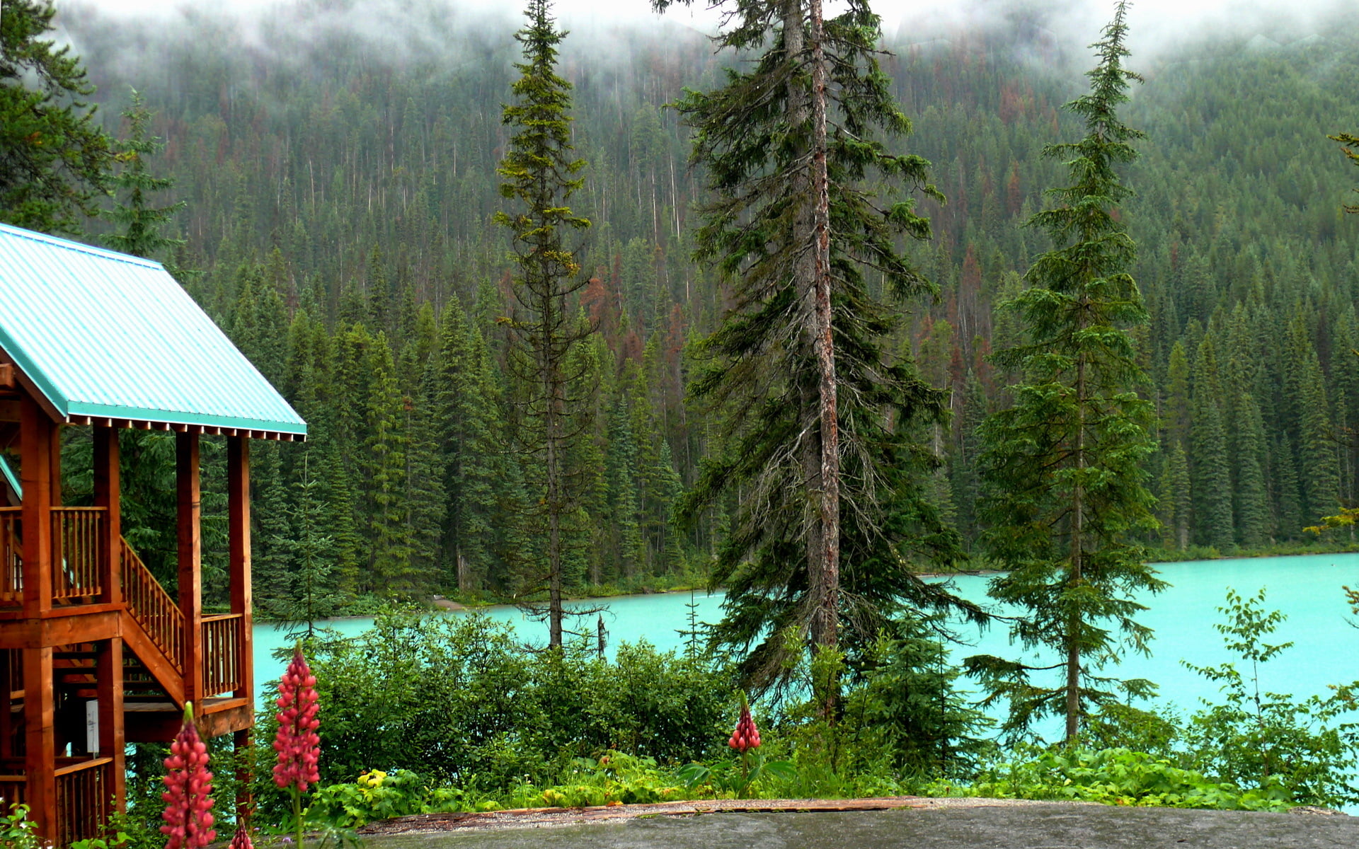 nature, built structure, Yoho National Park, lake, forest, house, trees, tree, growth, green, roof, tranquil scene, land, mountain, plant, tranquility, HD Wallpaper