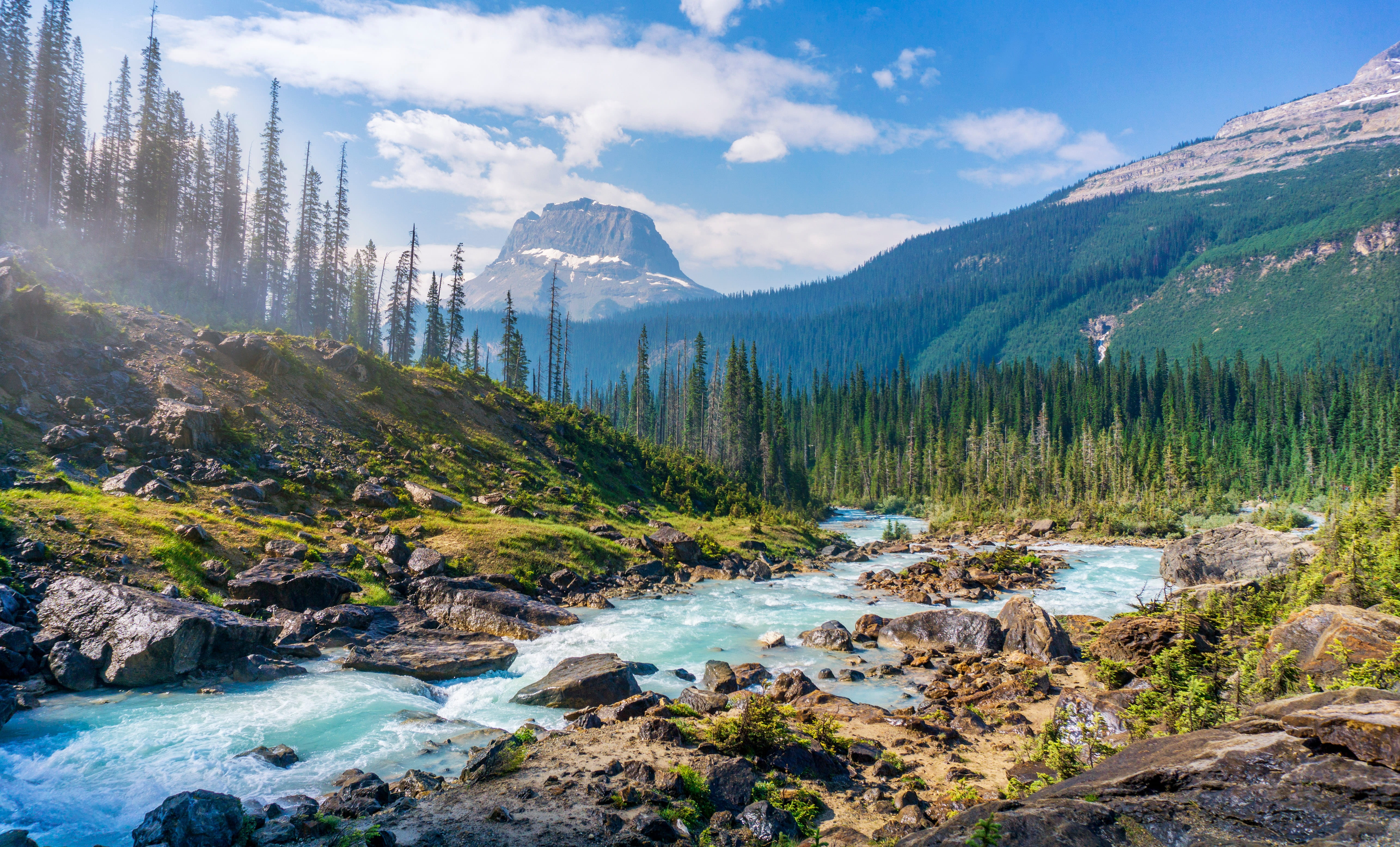 nature, no people, outdoors, water, lapse, 5K, pine woodland, coniferous tree, cloud, tranquil scene, flowing water, wilderness, land, blue, mountain, HD Wallpaper