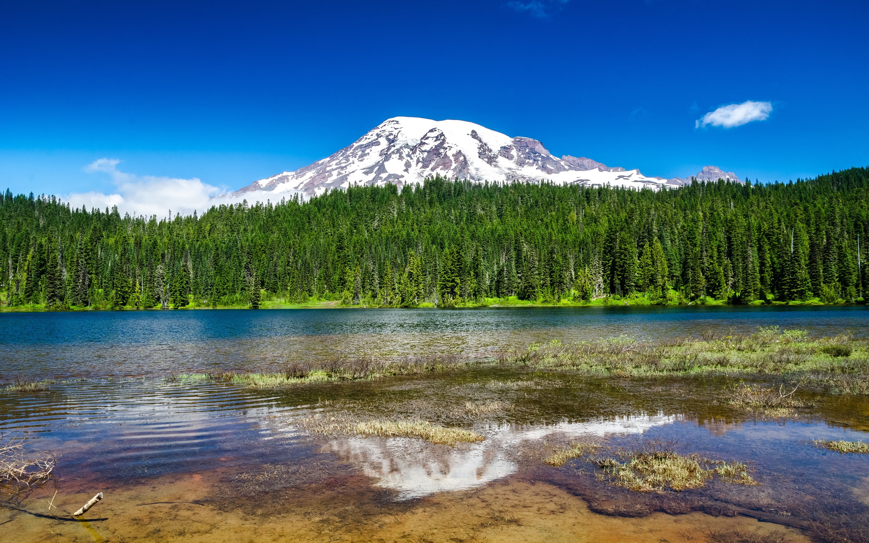 park, landscape, national, lake, sky, 2K, rainier, mountain, water, trees, mount, HD Wallpaper