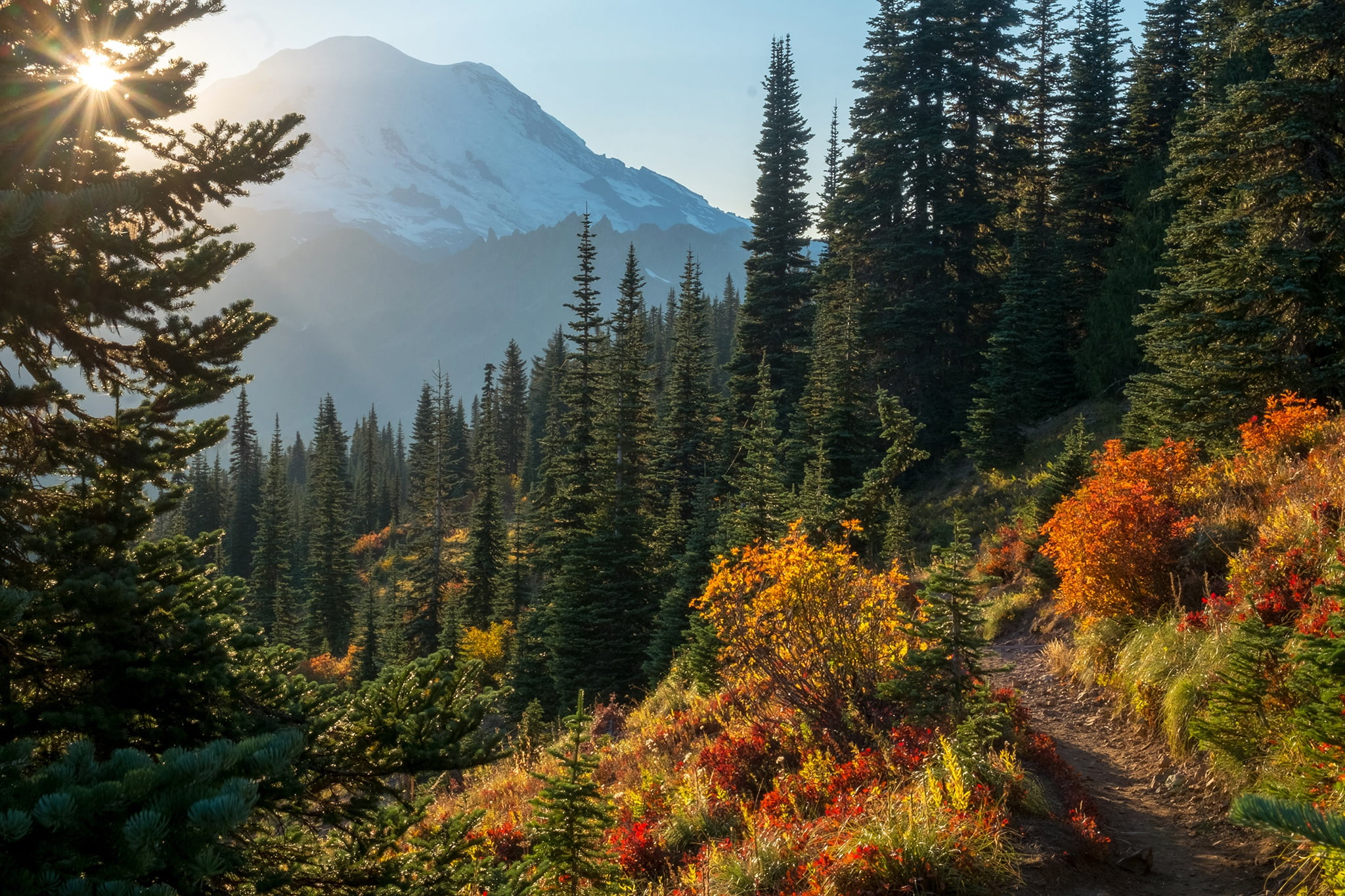 1080P, USA, trees, the sky, the sun, Mount Rainier National Park, grass, mountains, slope, the bushes, forest, trail, HD Wallpaper