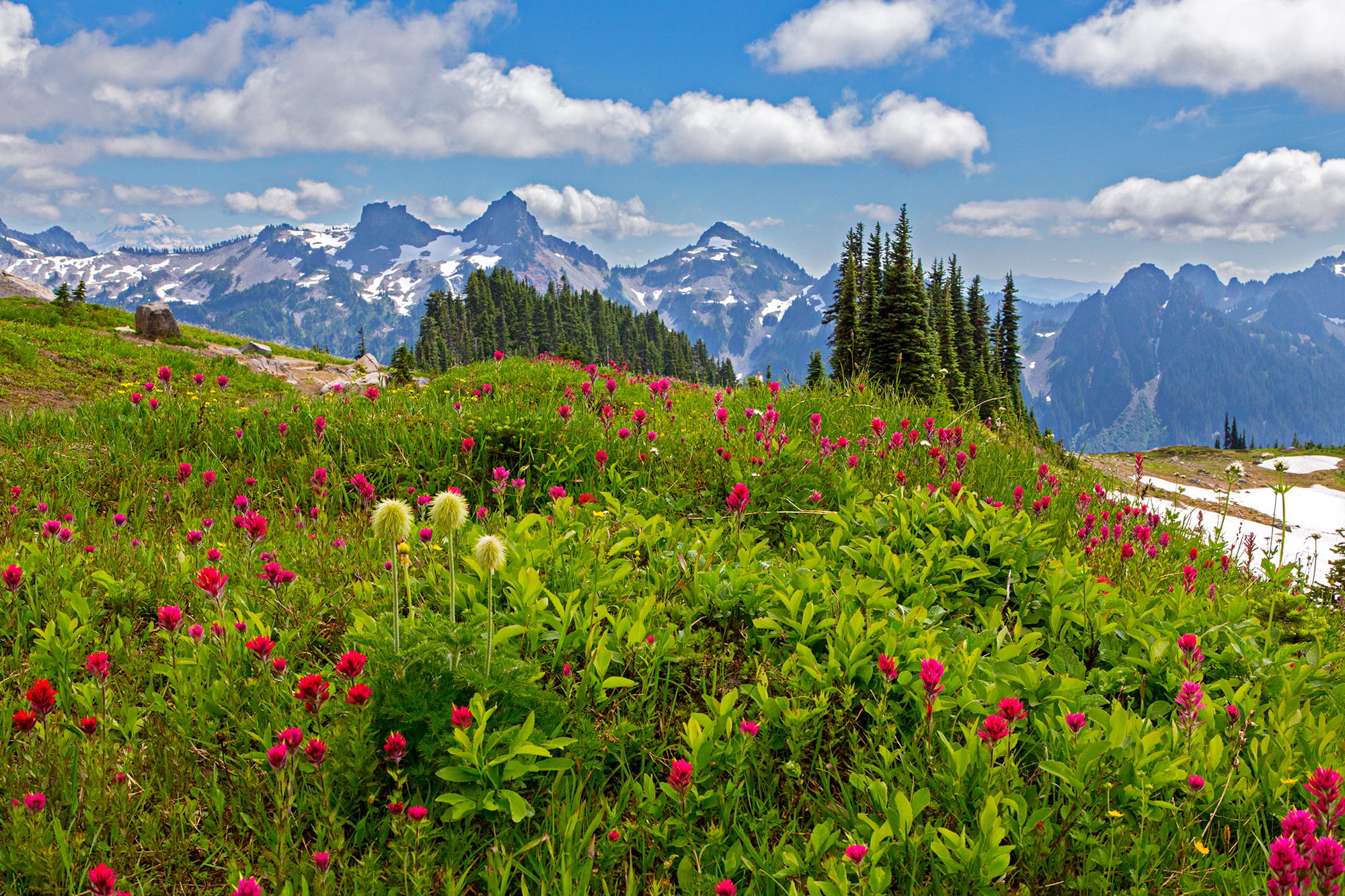 mountain peak, day, clouds, 1080P, mountains, flowering plant, scenics - nature, formation, field, grass, plant, stones, beauty in nature, growth, green color, HD Wallpaper