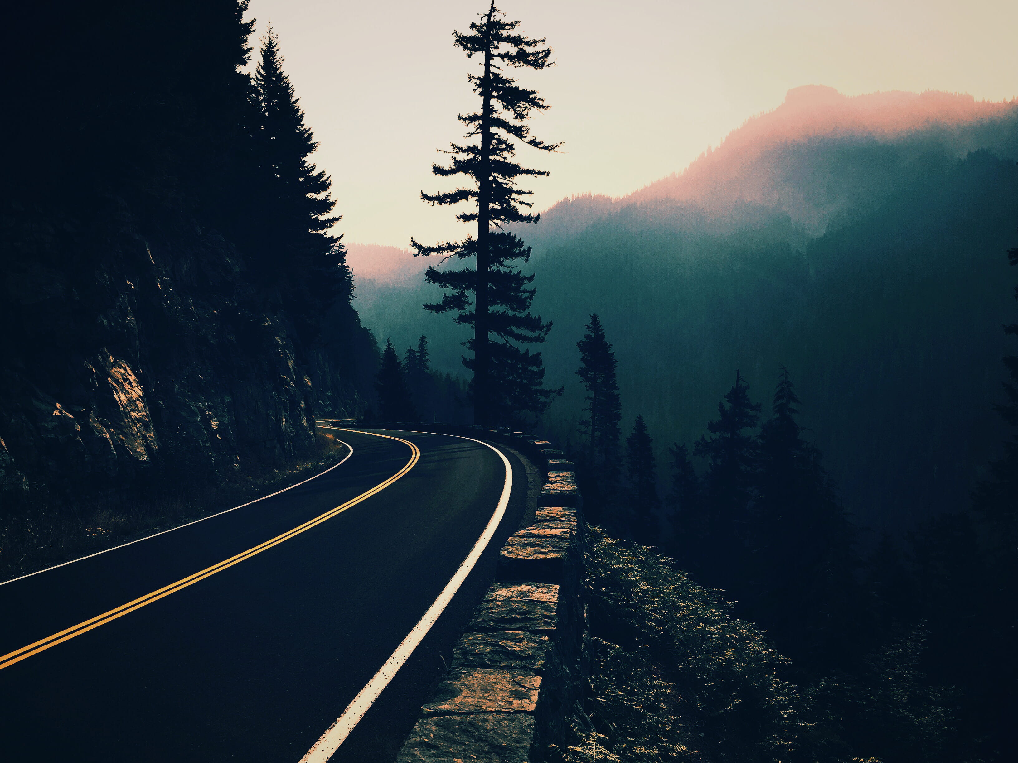 outdoors, transportation, no people, explore, tranquility, misty, moody, 2K, pine tree, tranquil scene, non-urban scene, the way forward, growth, nature, HD Wallpaper