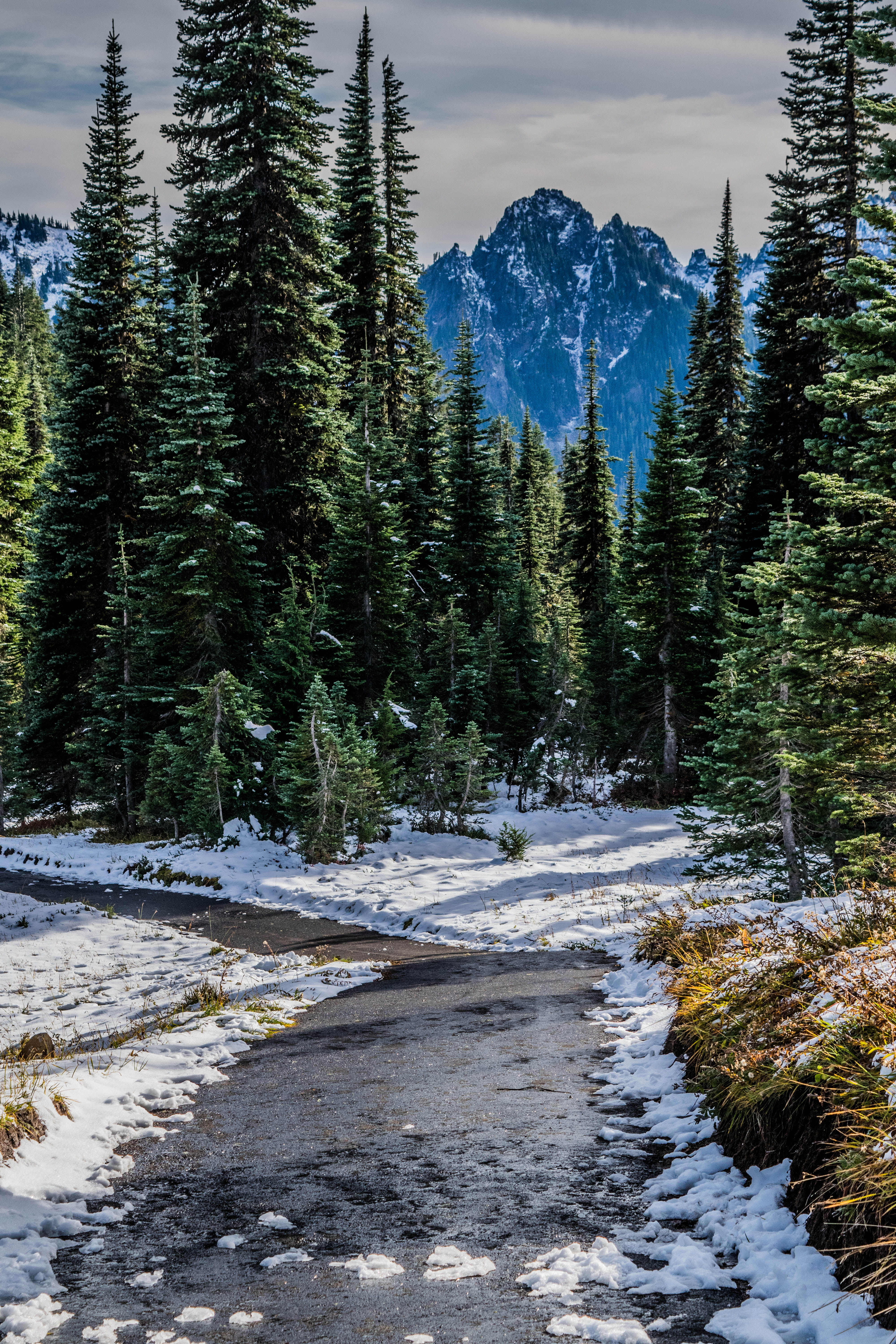 beauty in nature, nature, no people, united states, snow, 5K, flowing water, growth, cold temperature, outdoors, plant, day, water, mountain, winter, tree, Phone HD Wallpaper