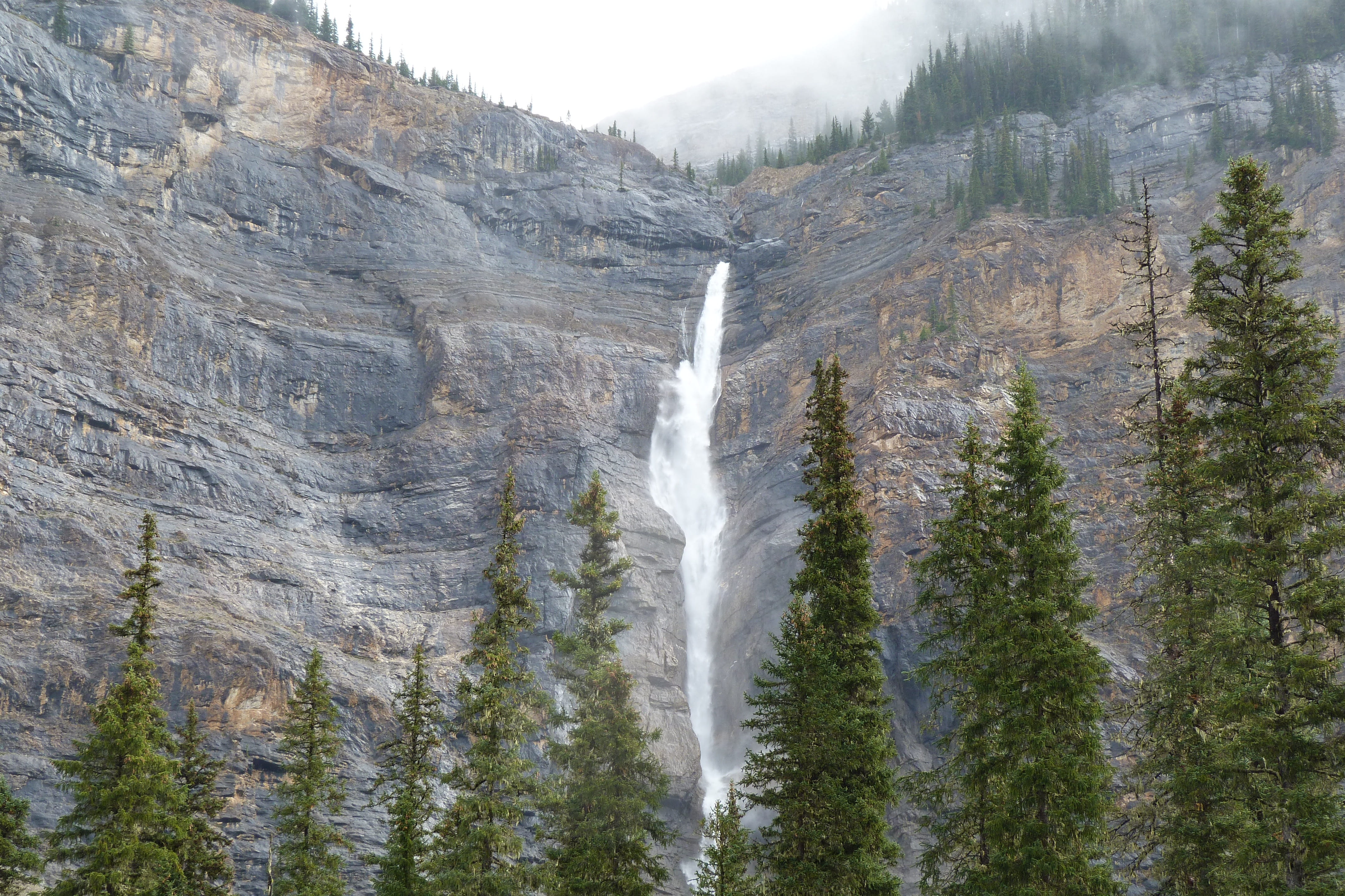 day, plant, rock, flowing water, power in nature, park, land, canada, rock - object, no people, non-urban scene, travel destinations, long exposure, tree, HD Wallpaper