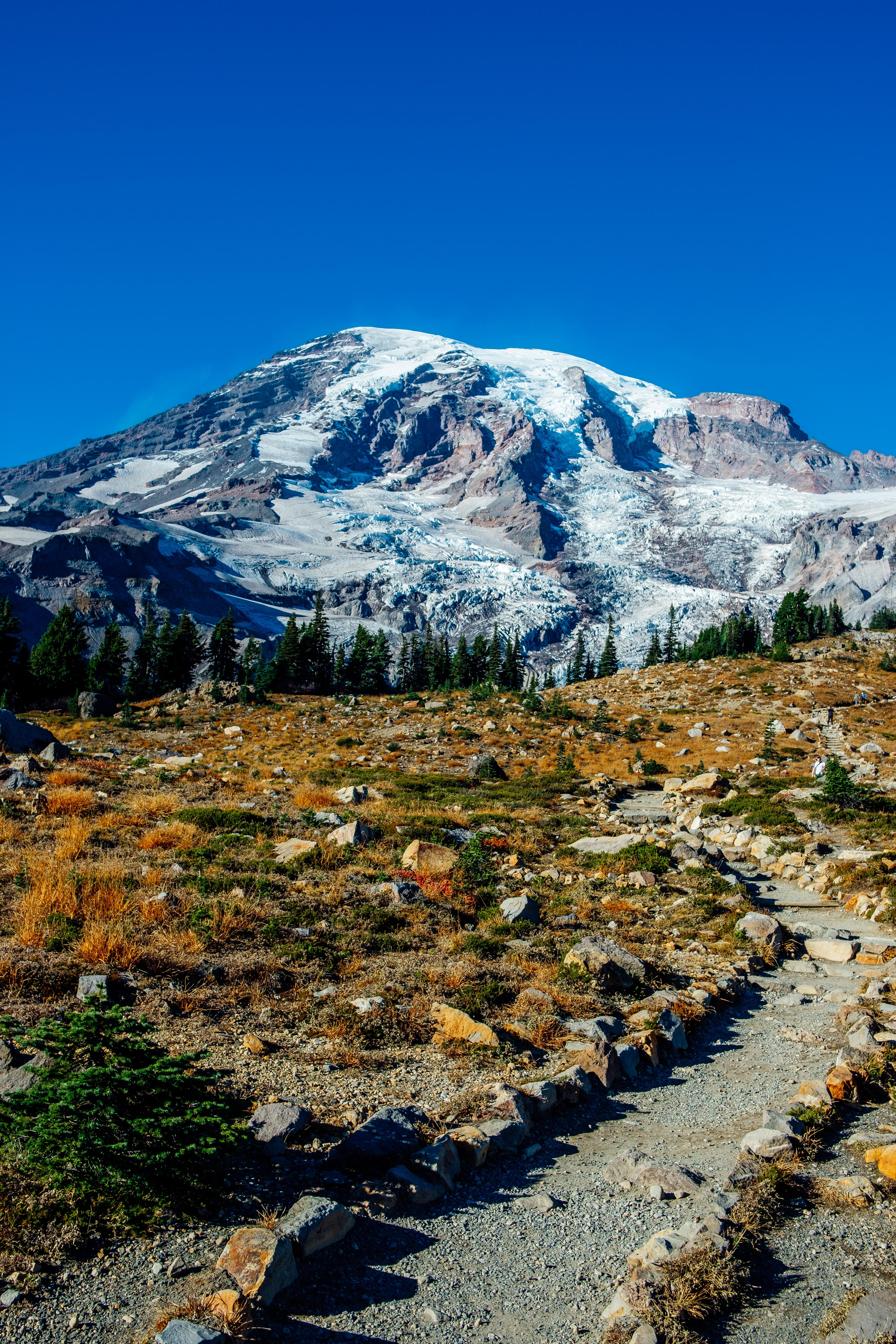 landscape, mountain peak, scenics - nature, united states, mount rainier national park, clear sky, winter, snow, mountain range, plant, mountain, tranquility, Phone HD Wallpaper