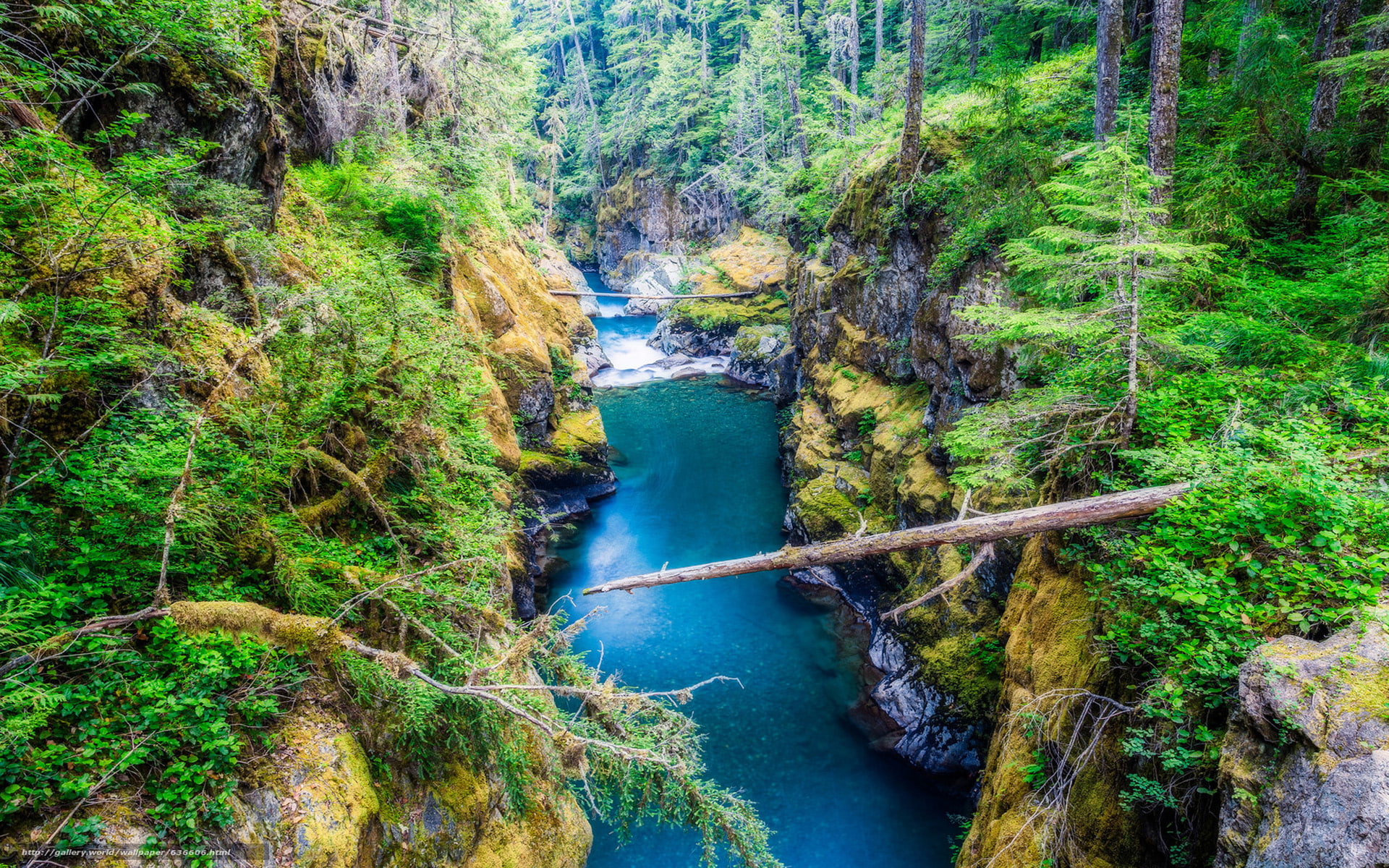 falls, water, mount, pine, hd, forest, park, river, canyon, trees, usa, coast, national, 1080P, clear, silver, rainier, mountain, rocky, HD Wallpaper